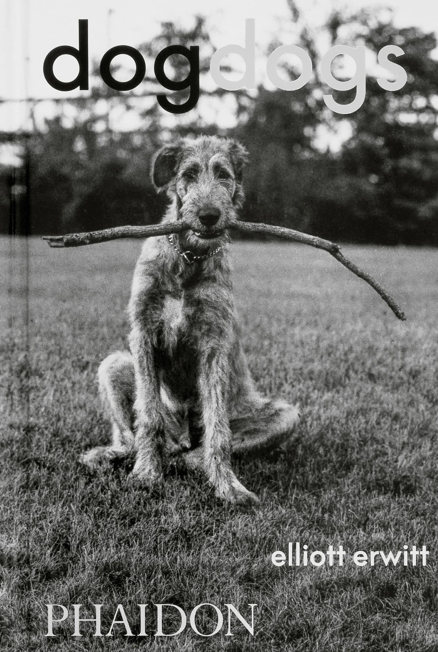 DogDogs