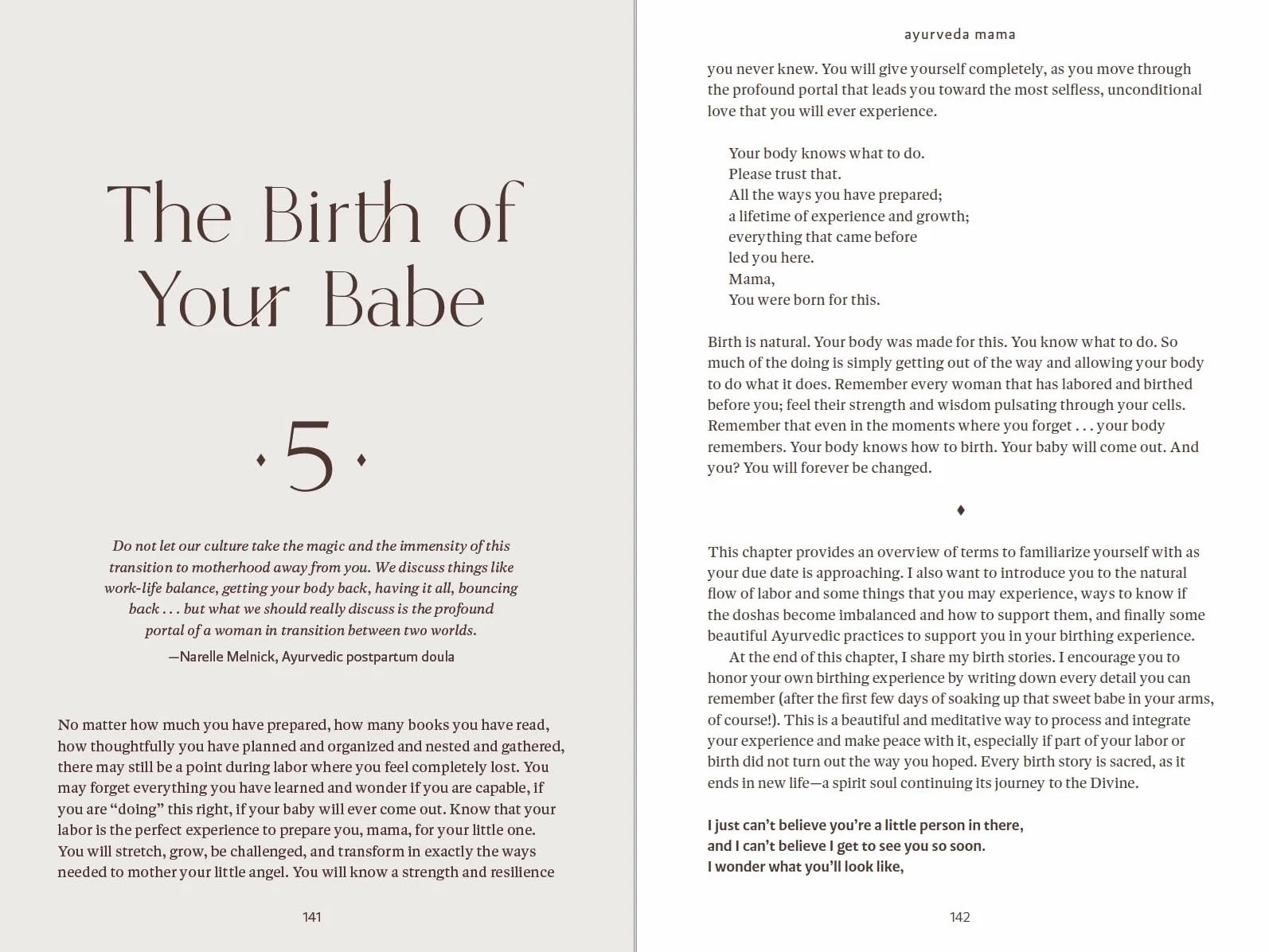 Ayurveda Mama: A Comprehensive Guide to Preparing for Pregnancy, Birth, and Postpartum