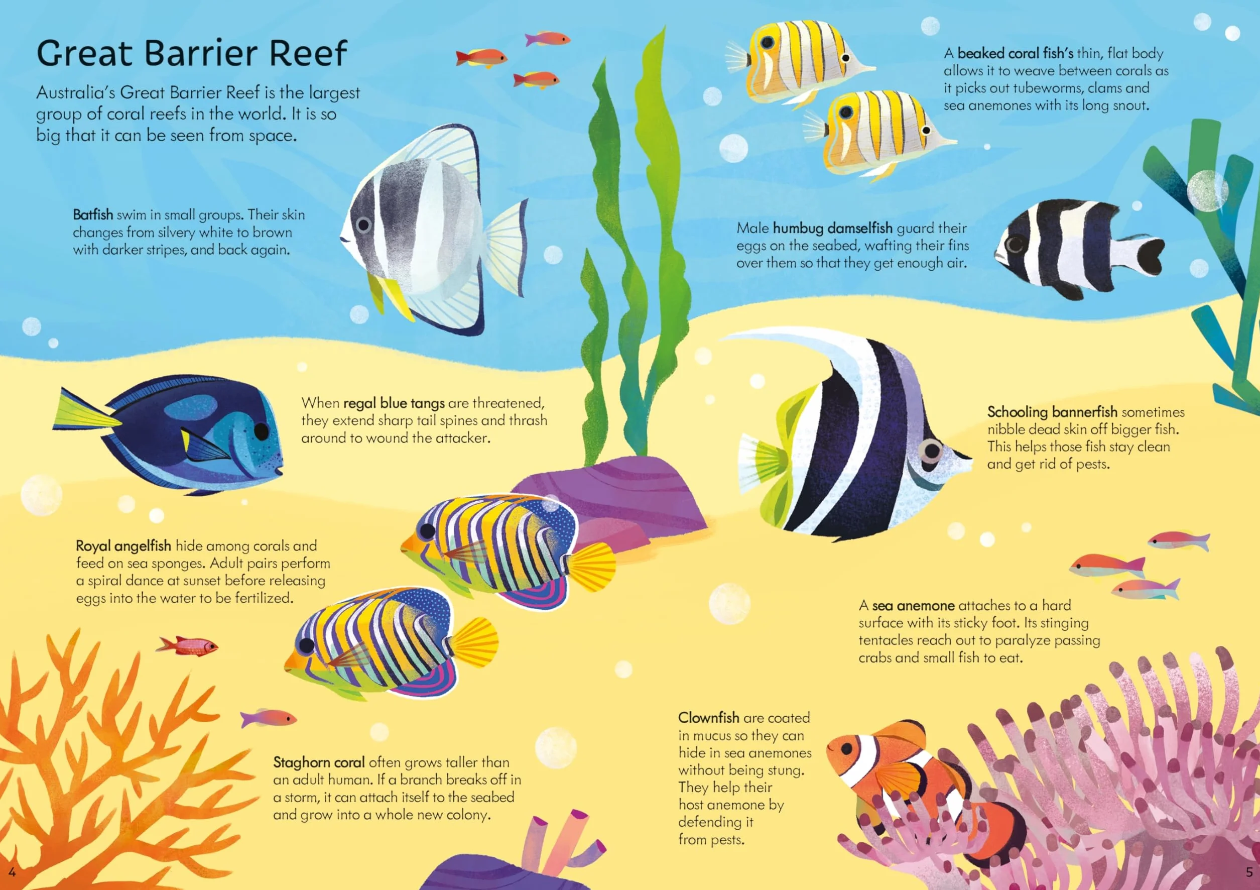 Usborne Book and Jigsaw Coral Reef
