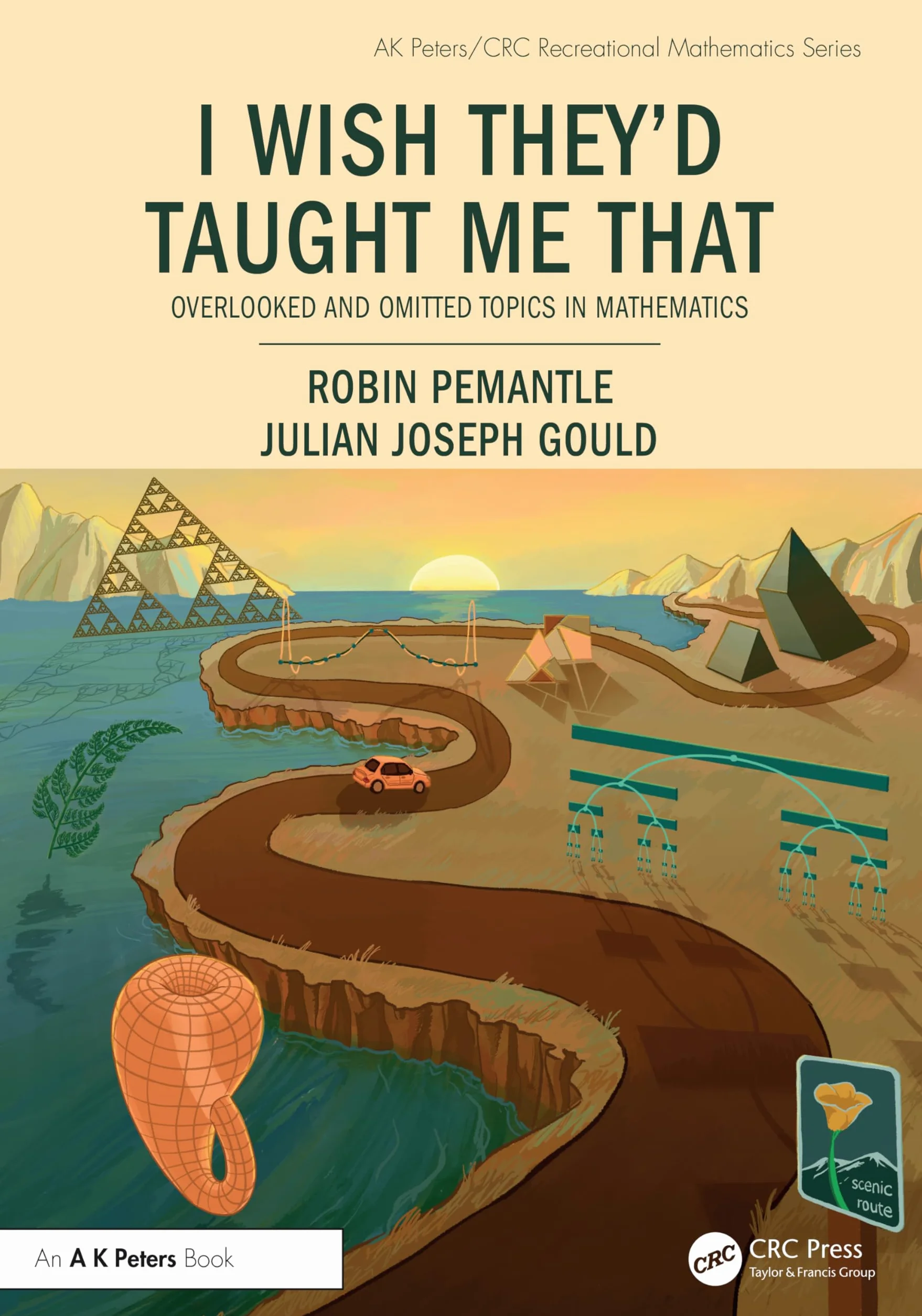 I Wish They'd Taught Me That: Overlooked and Omitted Topics in Mathematics