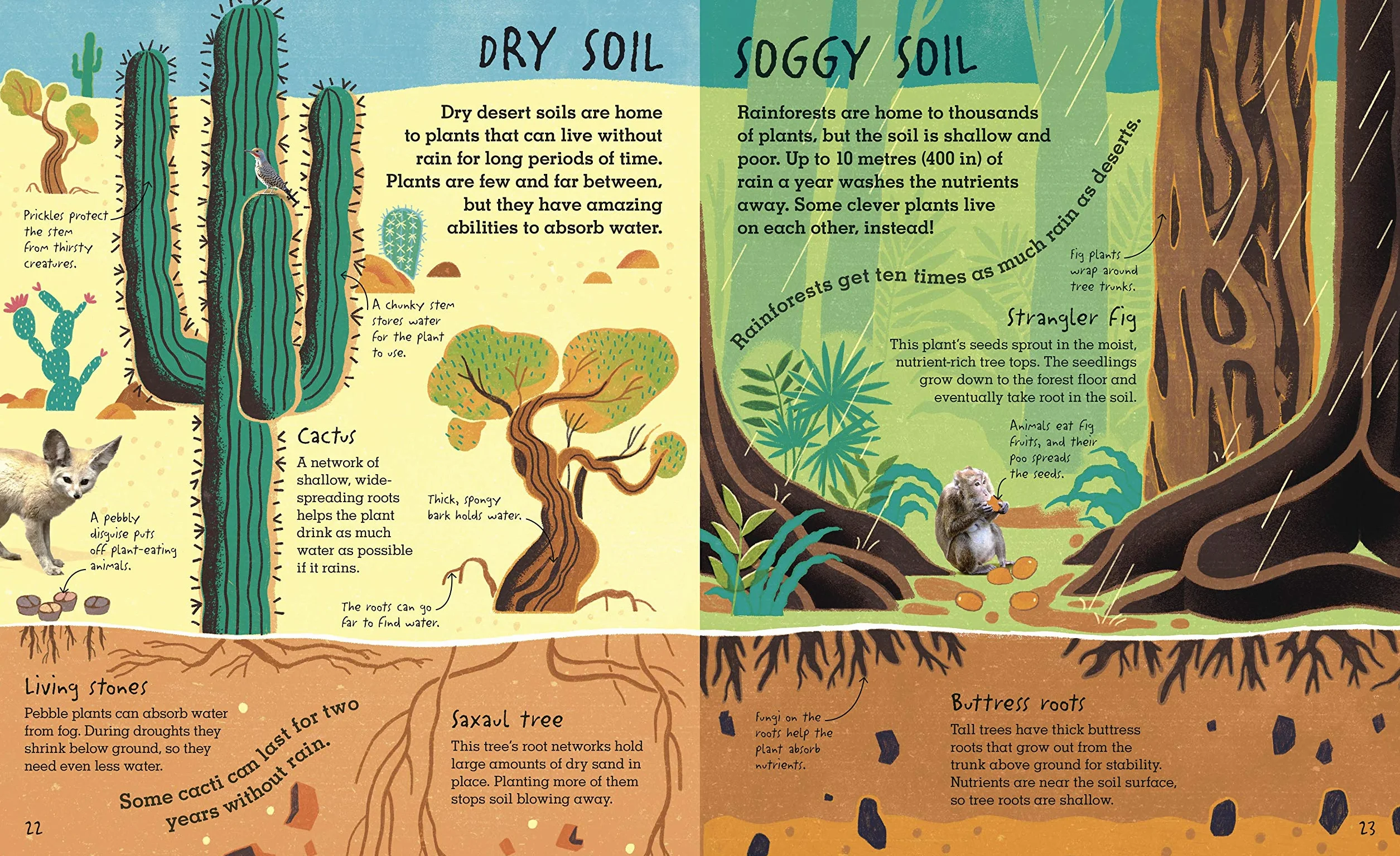 RHS Under Your Feet: Soil, Sand and other stuff (Underground and All Around)
