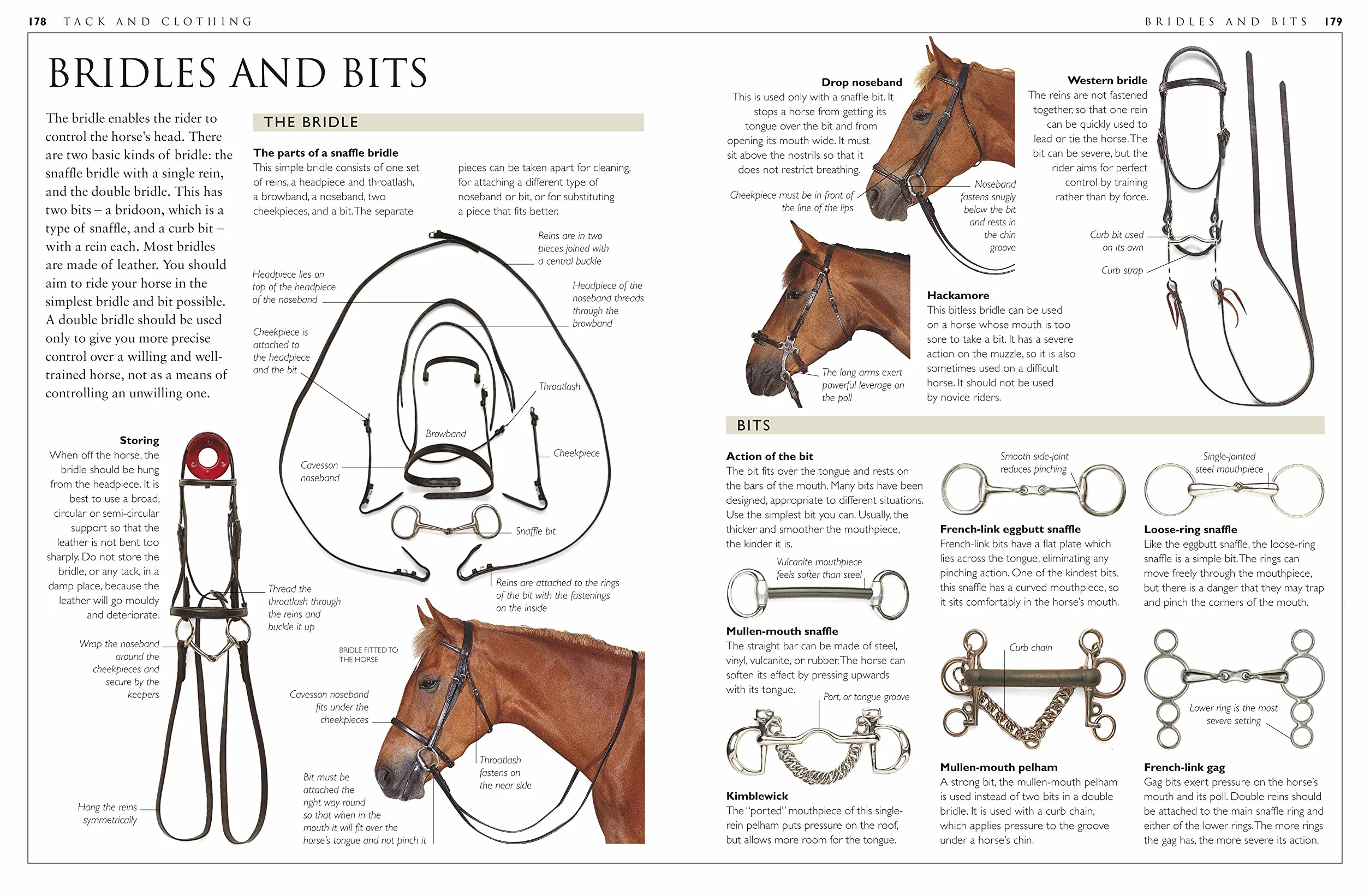 Complete Horse Care Manual