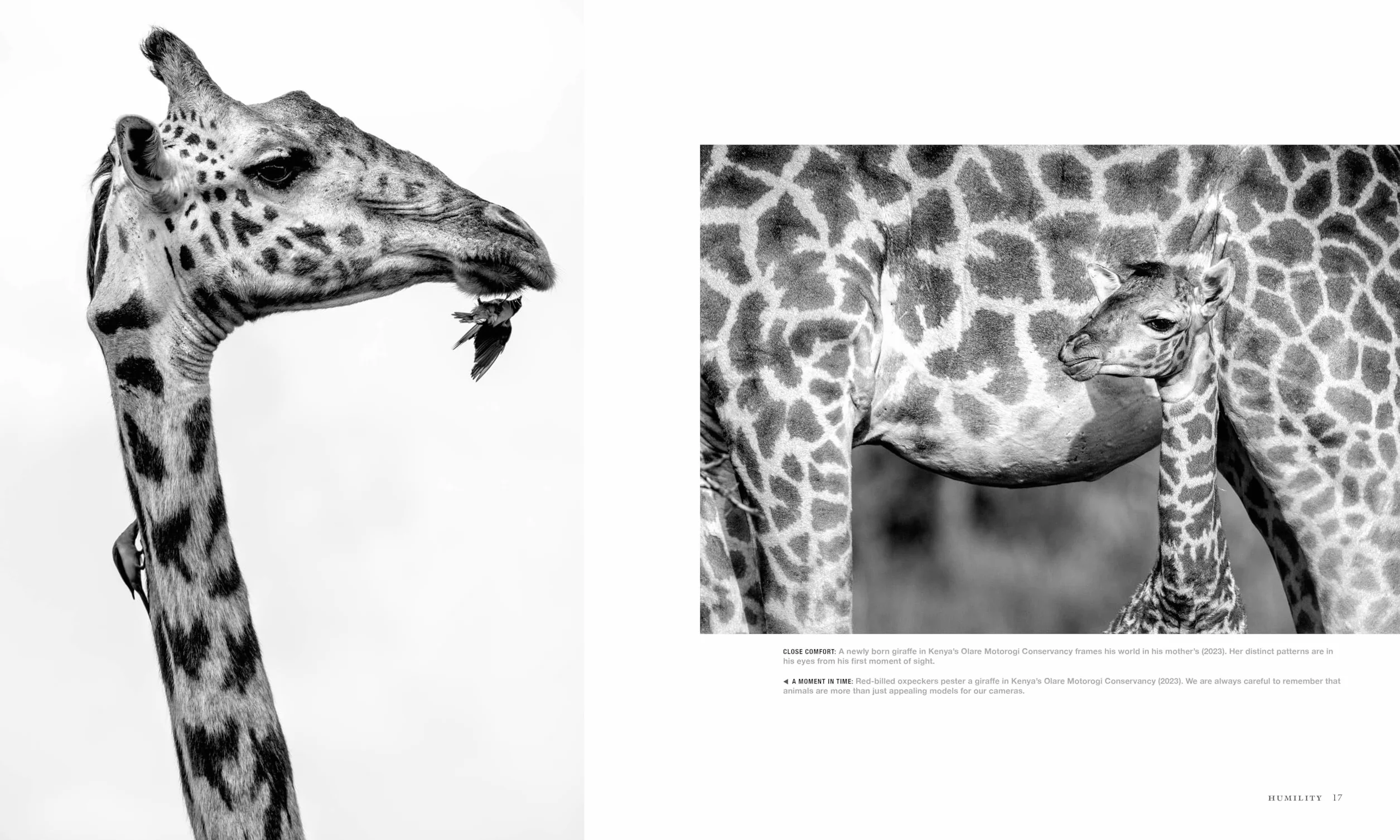 Wild Eye: A Life in Photographs