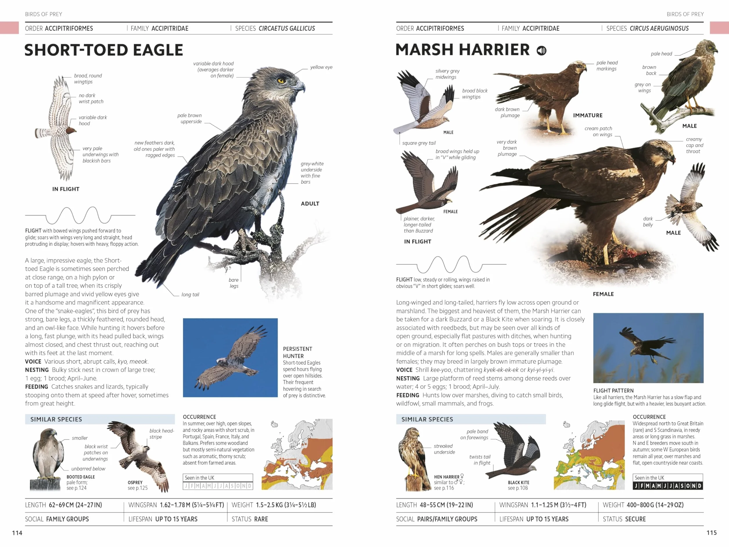 Rspb Birds of Britain and Europe: The Definitive Photographic Field Guide
