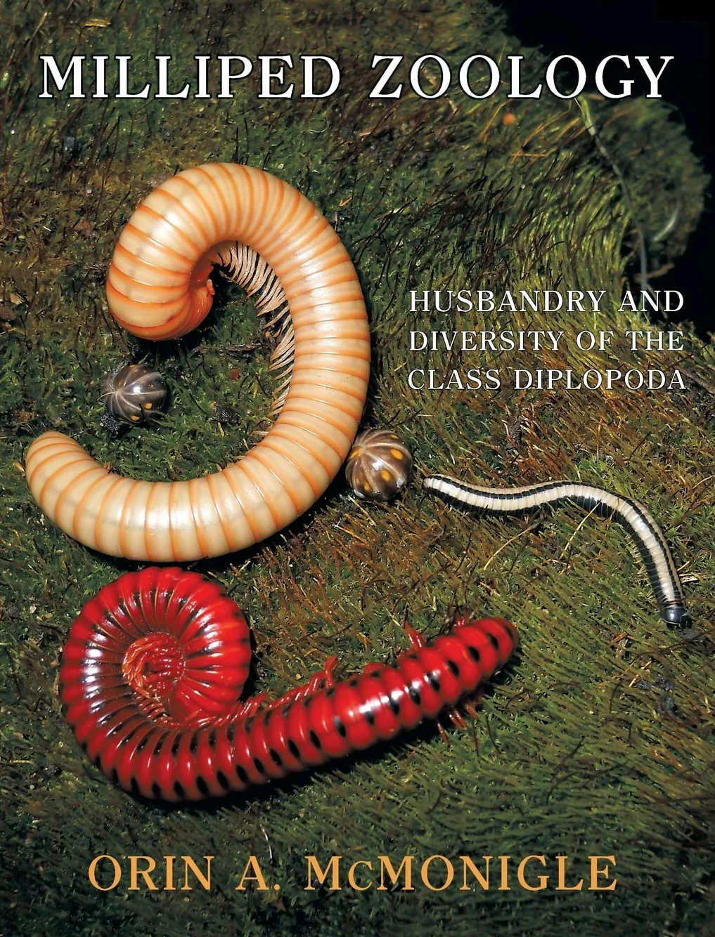 Milliped Zoology: Husbandry and Diversity of the Class Diplopoda