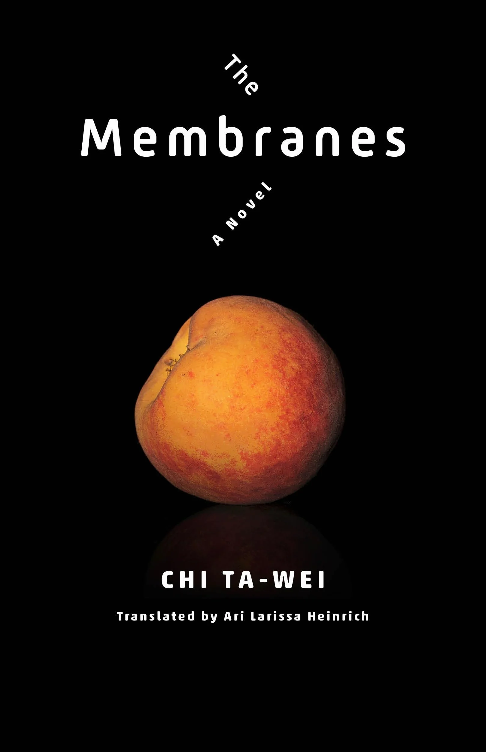 The Membranes: A Novel