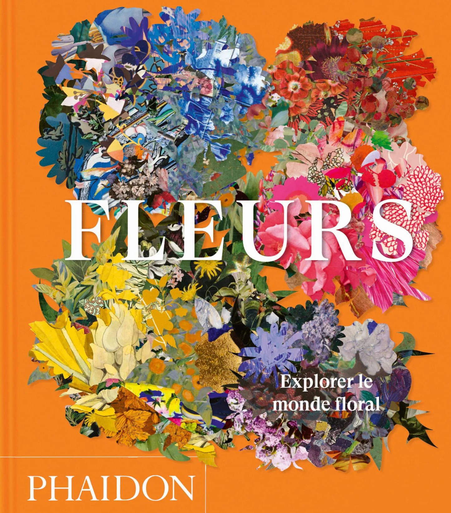 Explorer le monde floral
