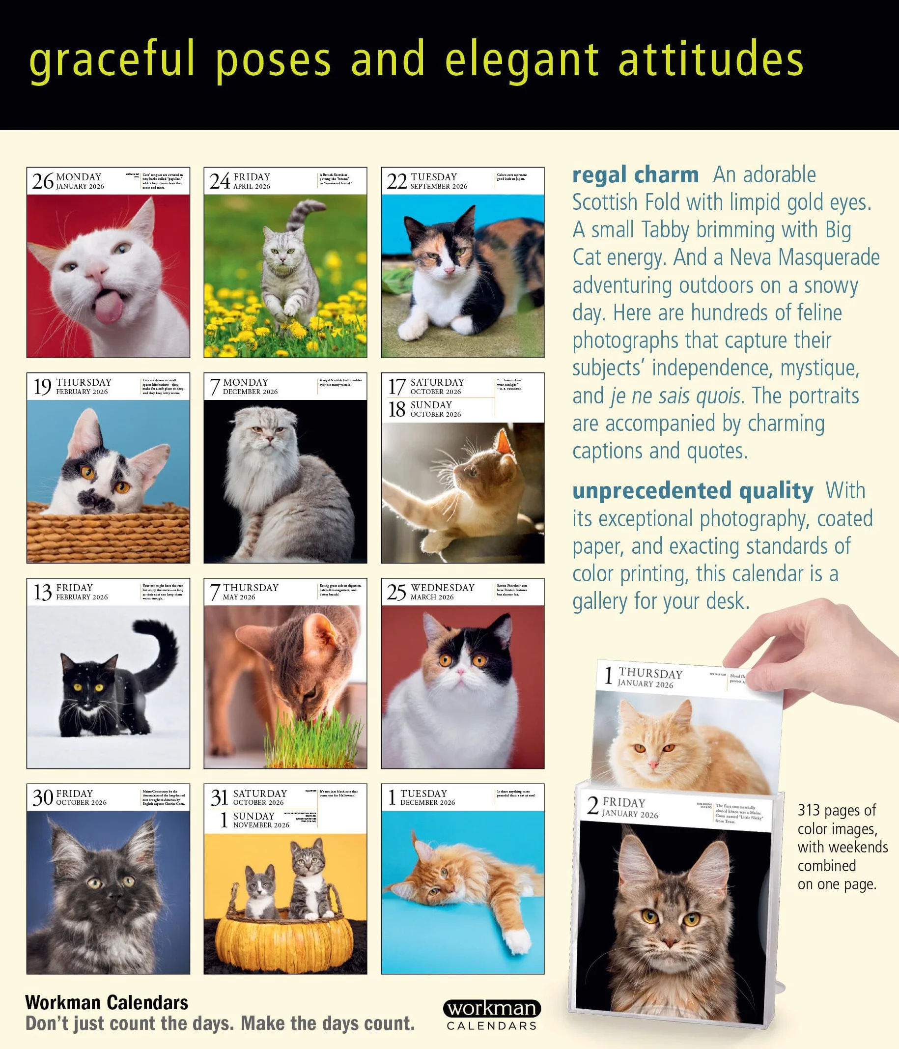 Cat Page-A-Day® Gallery Calendar 2026