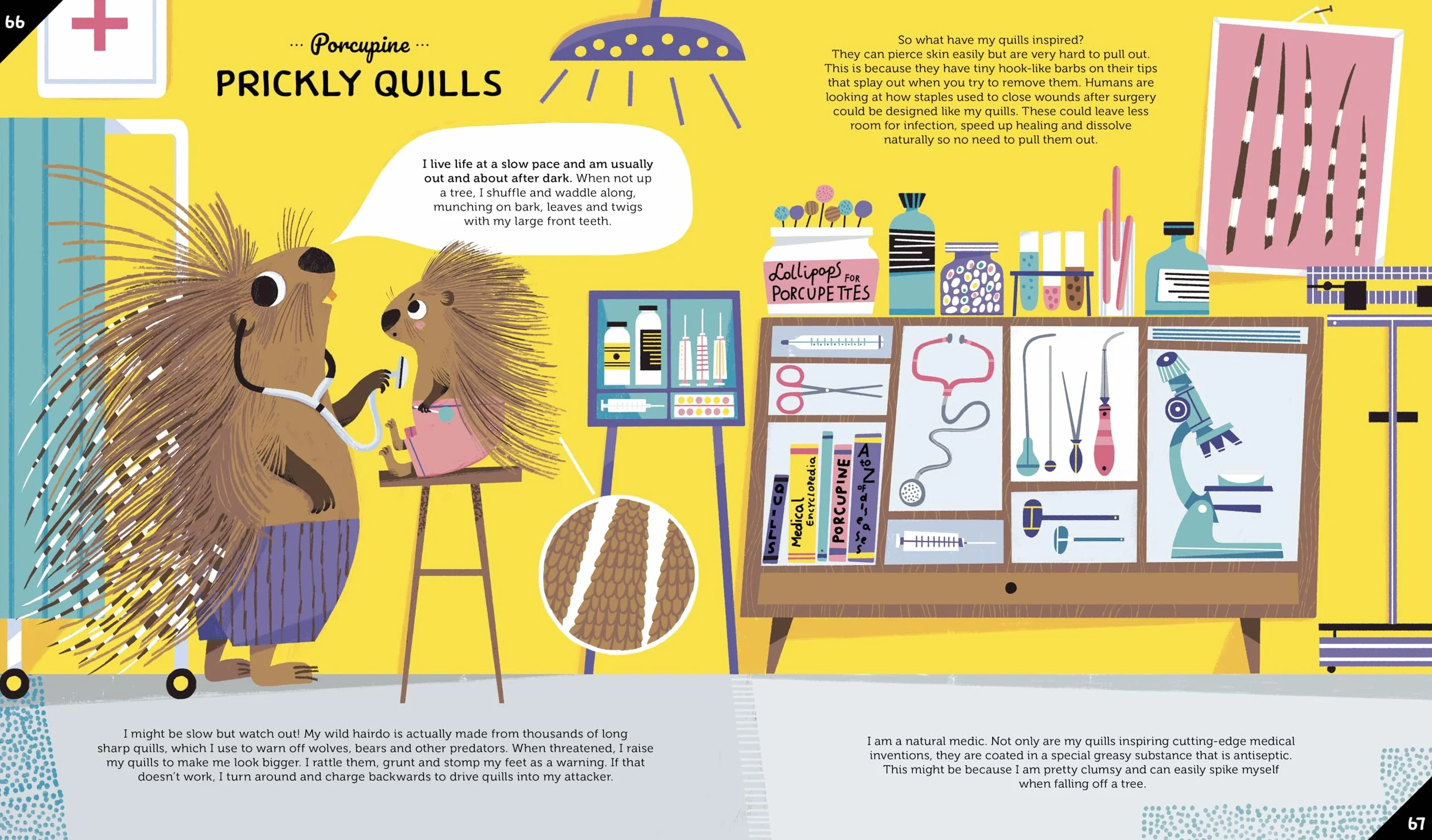 Invented by Animals: Meet the creatures who inspired our everyday technology