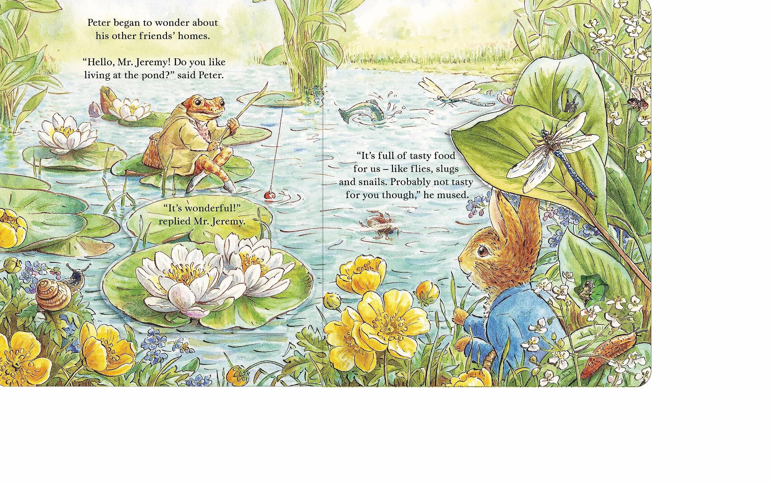 Peter Rabbit: Forest Homes A Peep-Inside Tale