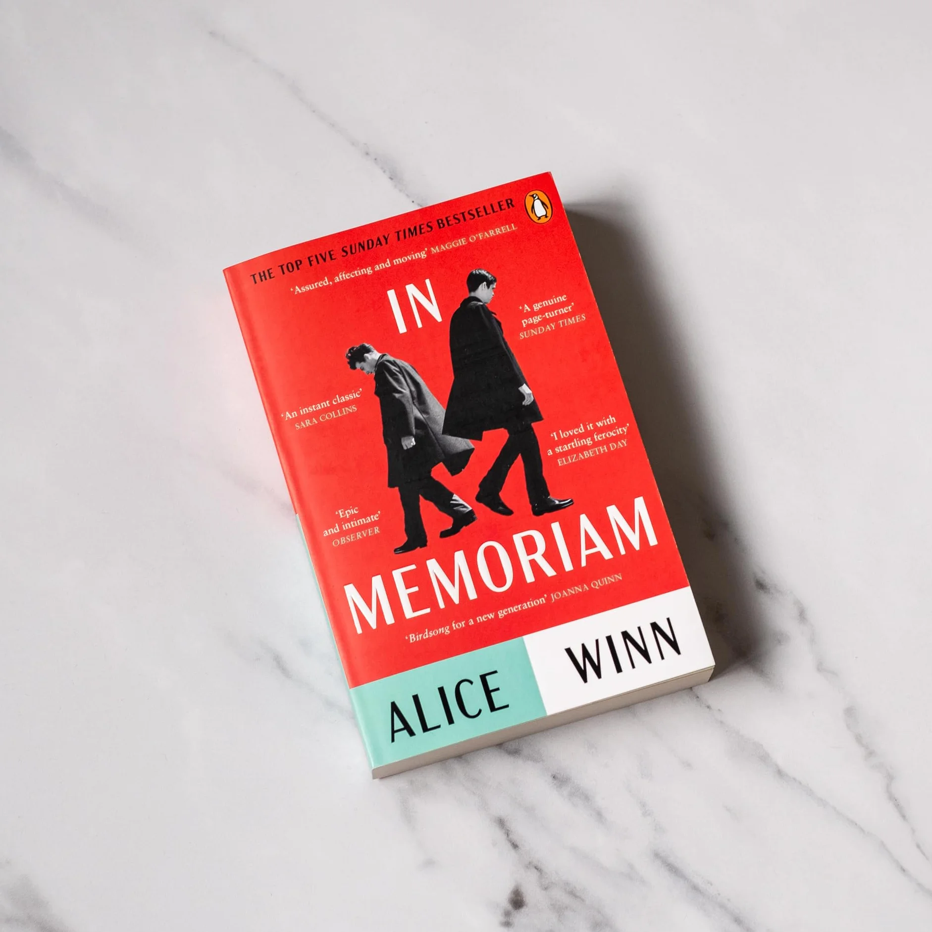 In Memoriam: The Sunday Times Bestseller First World War Love Story