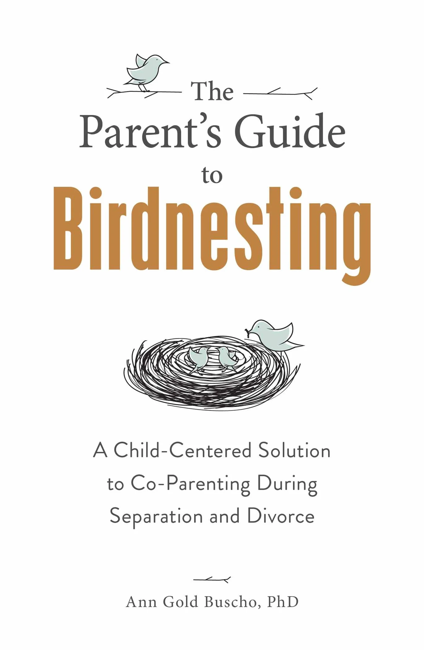 The Parent's Guide to Birdnesting: Child-Centered Co-Parenting Solution for Separation and Divorce