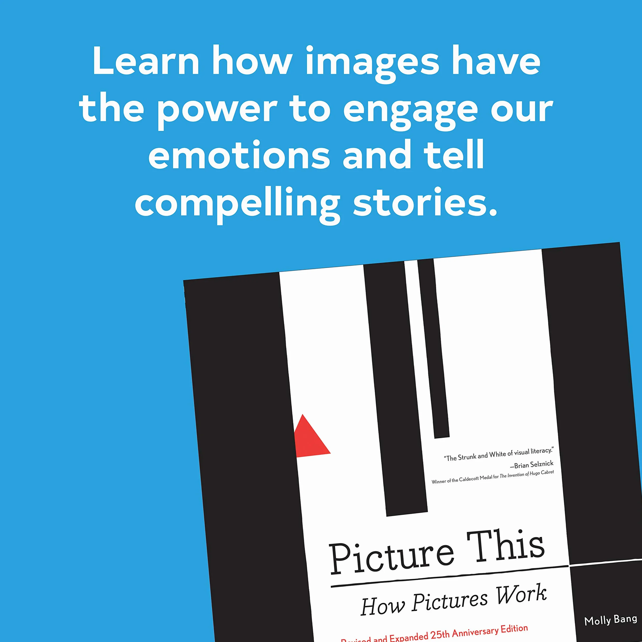 Picture This: How Pictures Work Revised and Expanded 25th Anniversary Edition