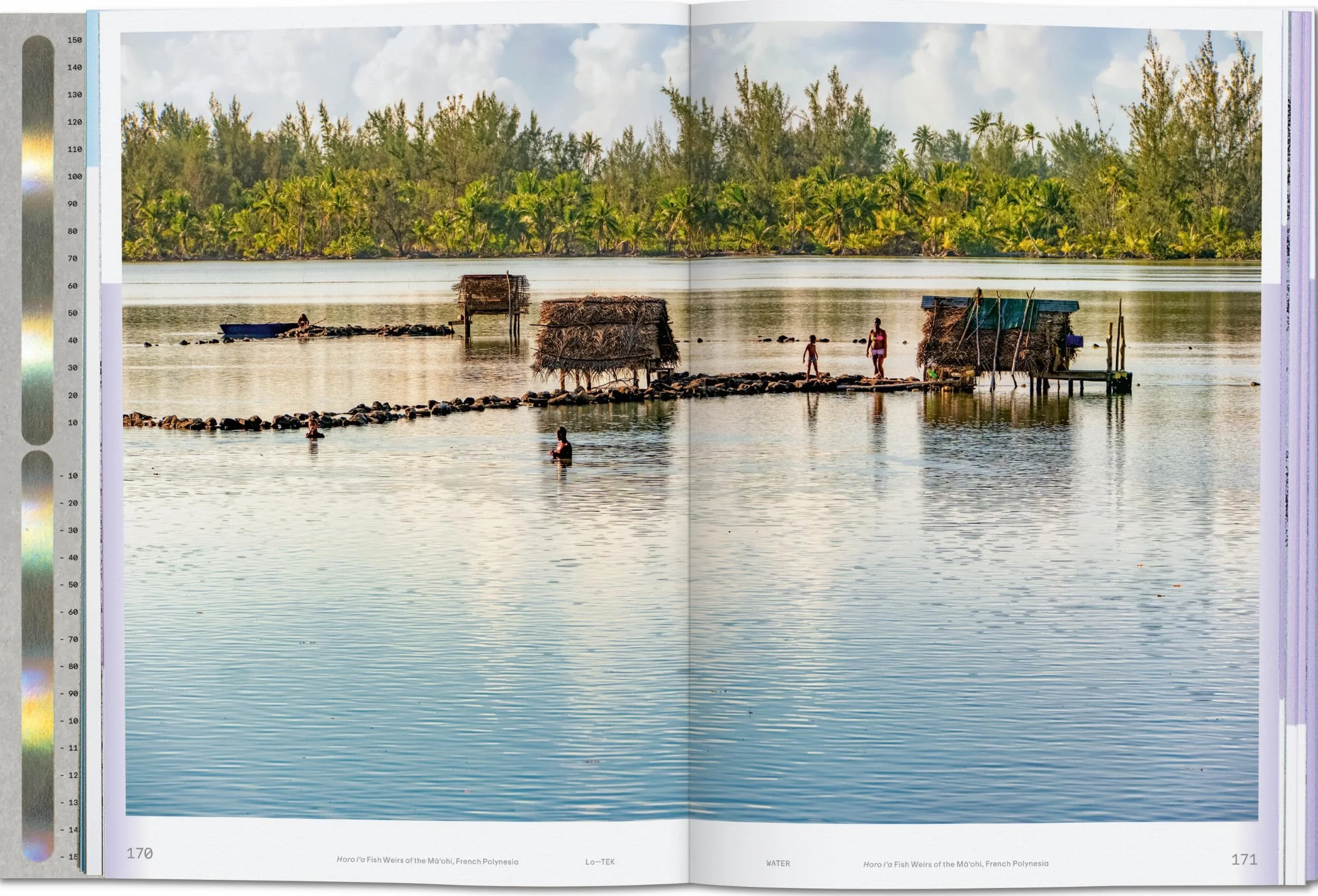 Julia Watson. Lo--Tek. Water. a Field Guide for Teknology