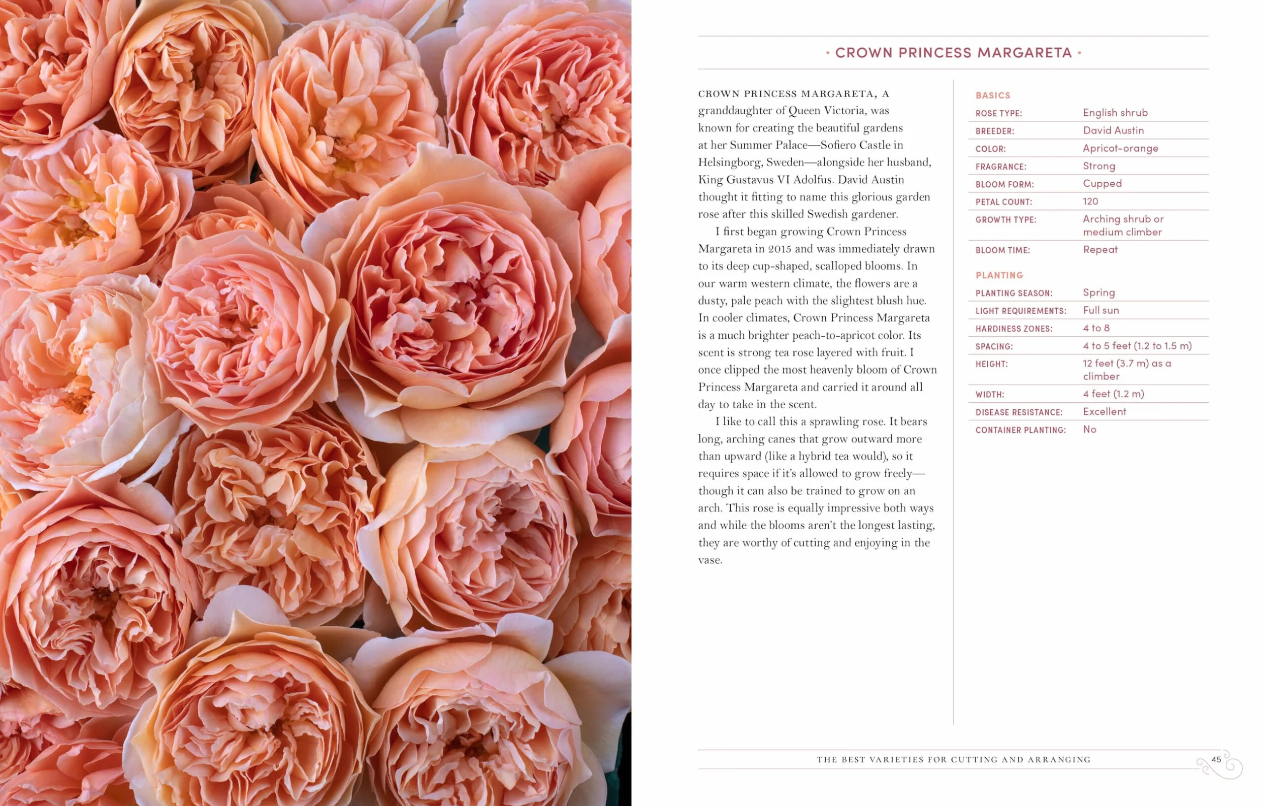 Grace Rose Farm: Garden Roses: Growing & Arranging Spectacular Blooms
