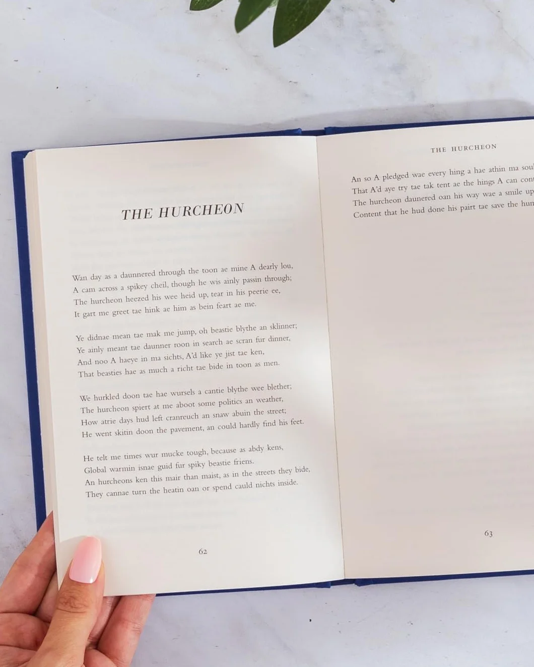 Poyums Annaw: The Instant Sunday Times Bestseller