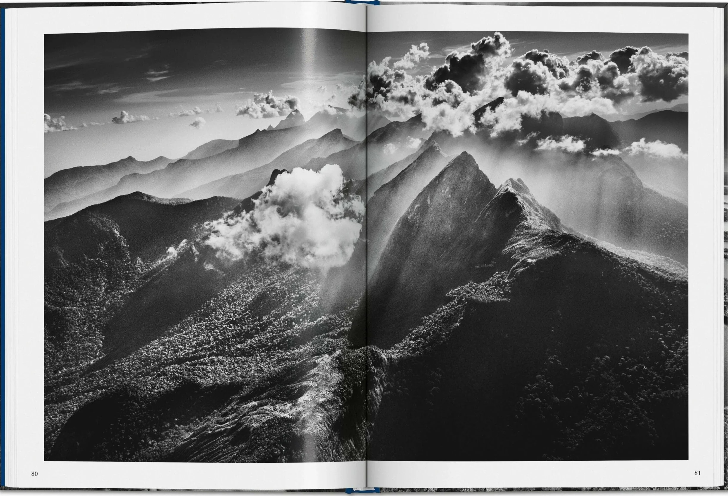Salgado, Amazônia