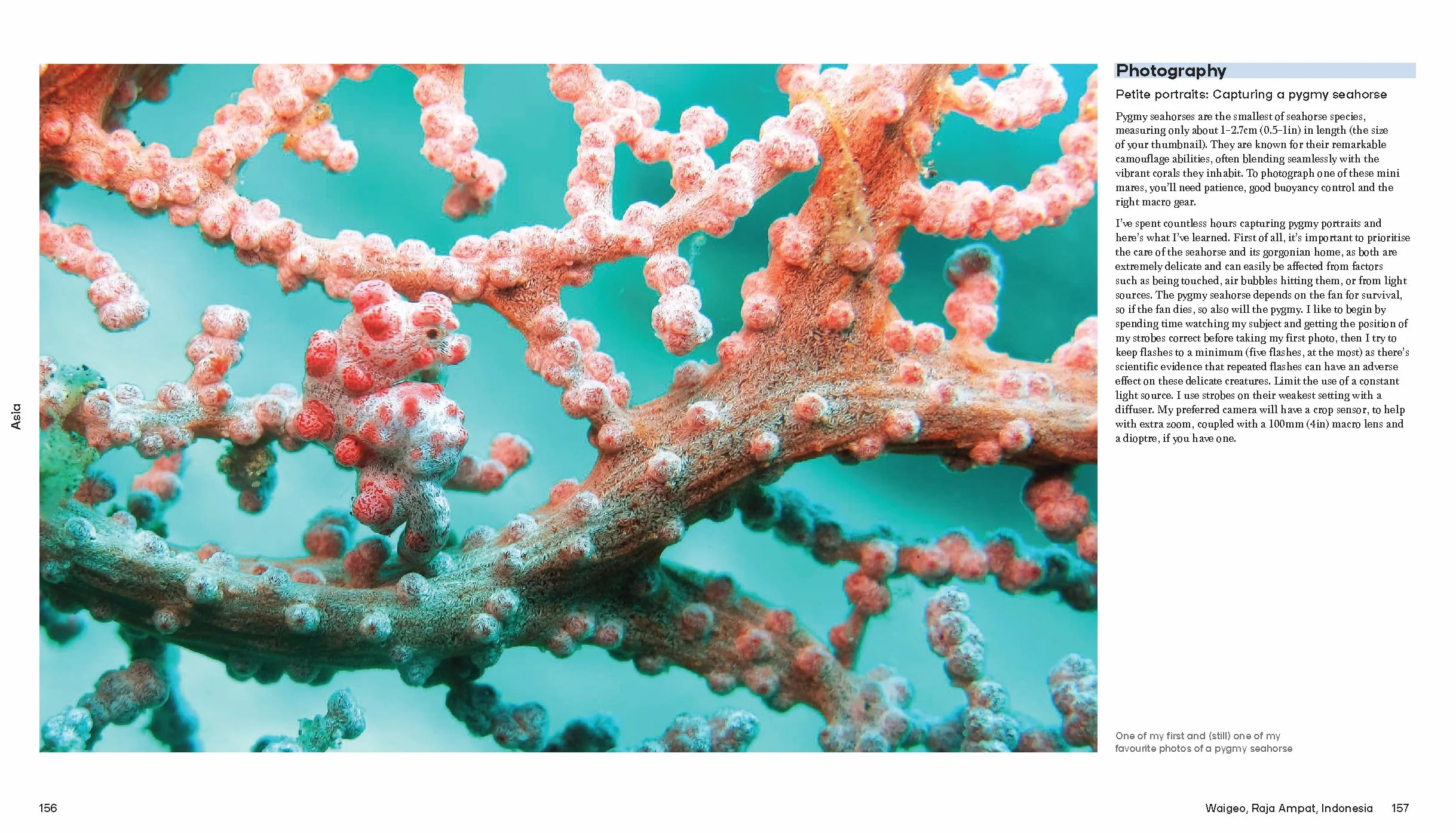 Ultimate Dive Sites