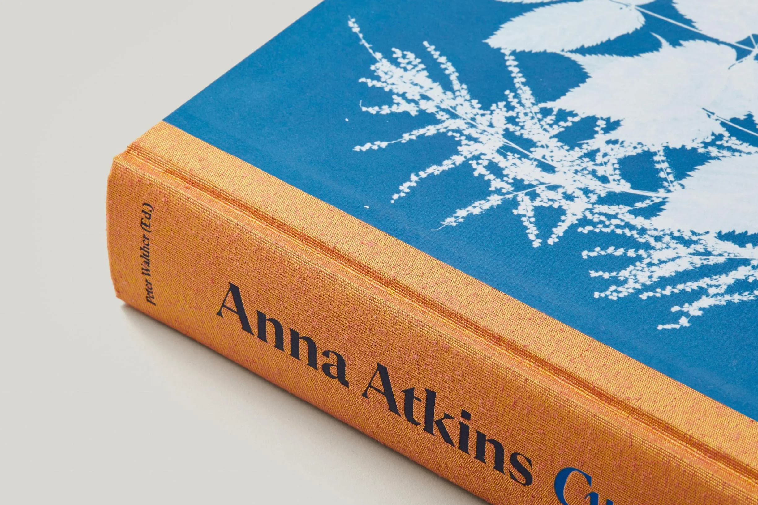 Anna Atkins. Cyanotypes