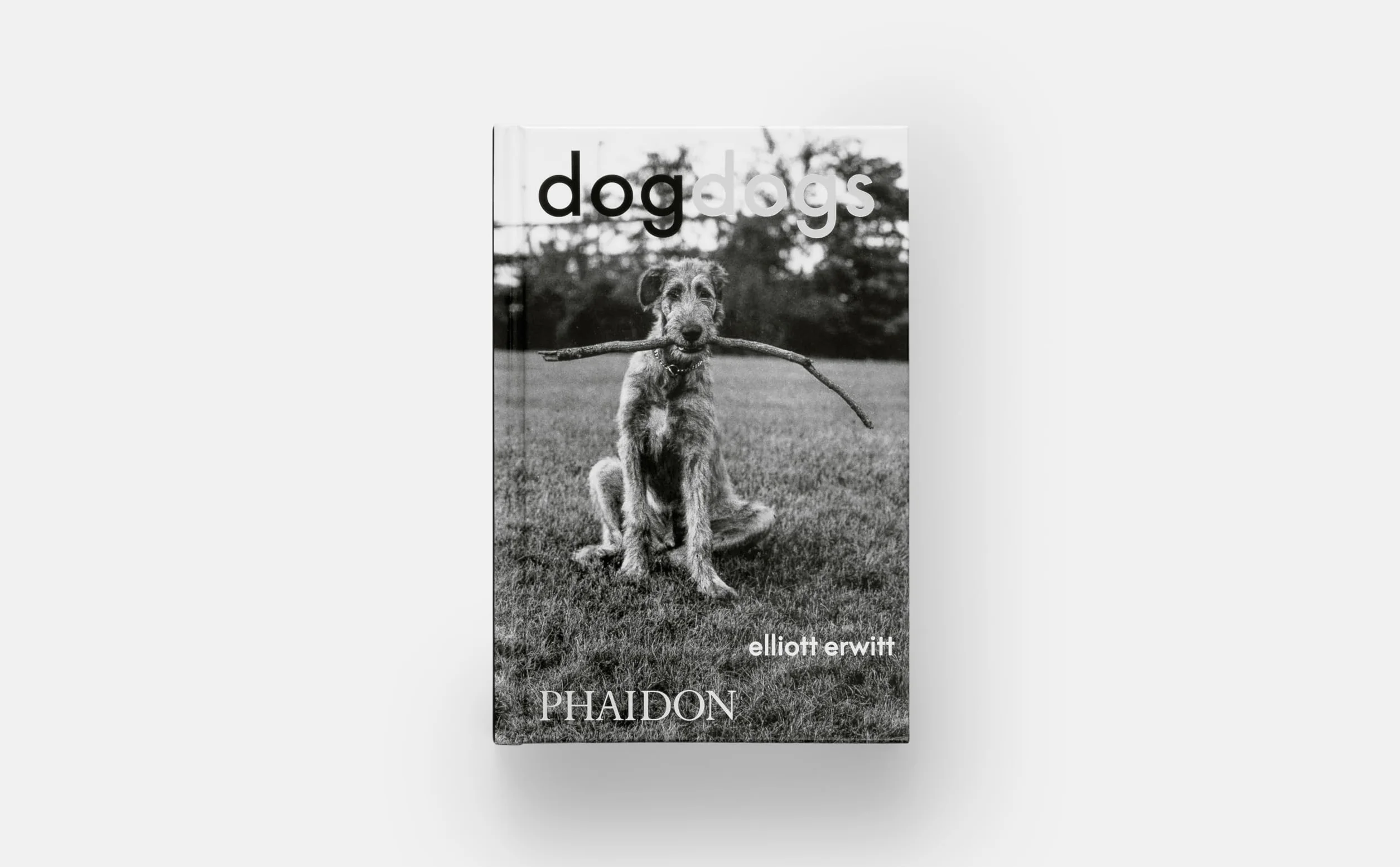 DogDogs