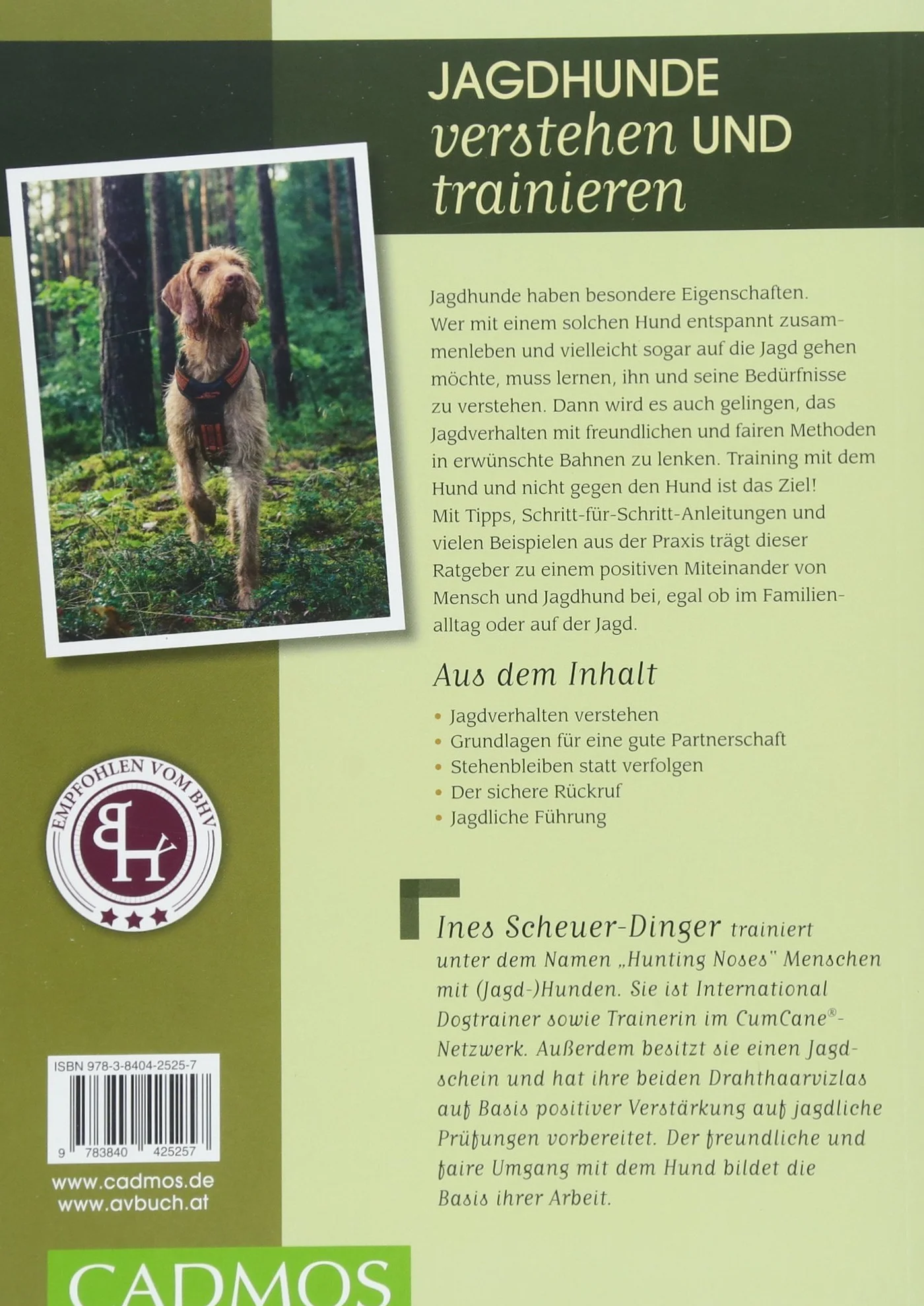 Leben mit Jagdhund: Praxishandbuch für ein entspanntes Miteinander