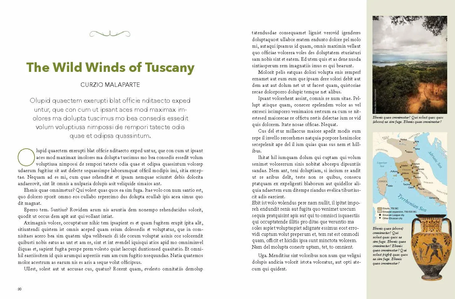 On Tuscany: From Brunello to Bolgheri, Wine Tales from the Heart of Italy
