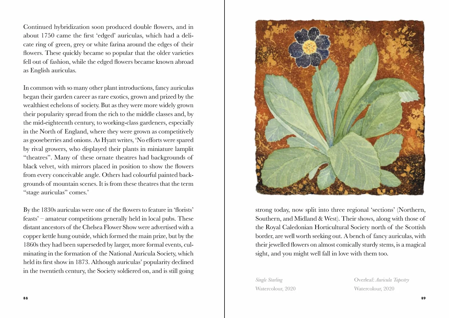 The Book of Garden Flowers
