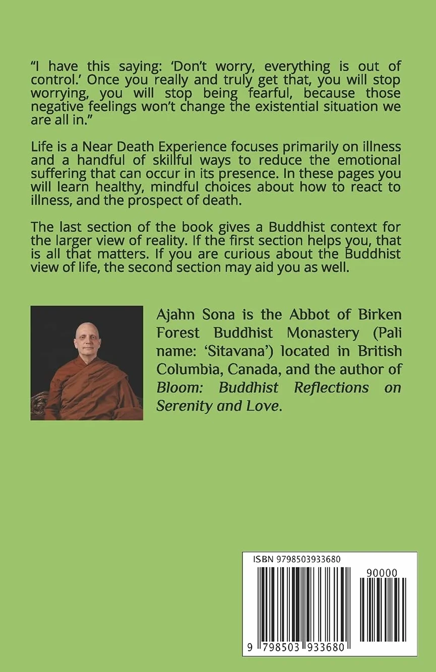Life is a Near Death Experience: Skills for Illness, Aging, Dying, and Loss