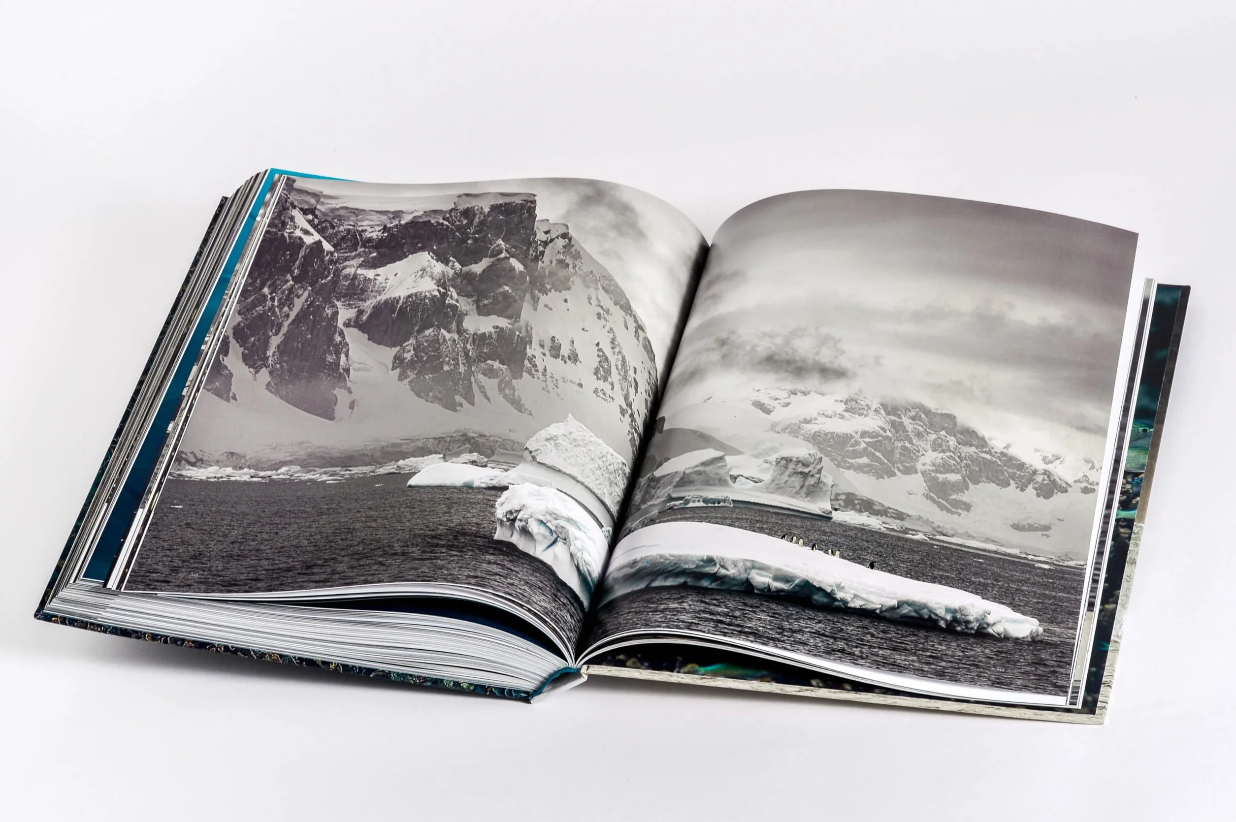Wilder Ozean: Eine Reise in die ungezähmte Natur der Weltmeere. Opulenter Coffee-Table-Band mit über 200 faszinierenden Fotografien
