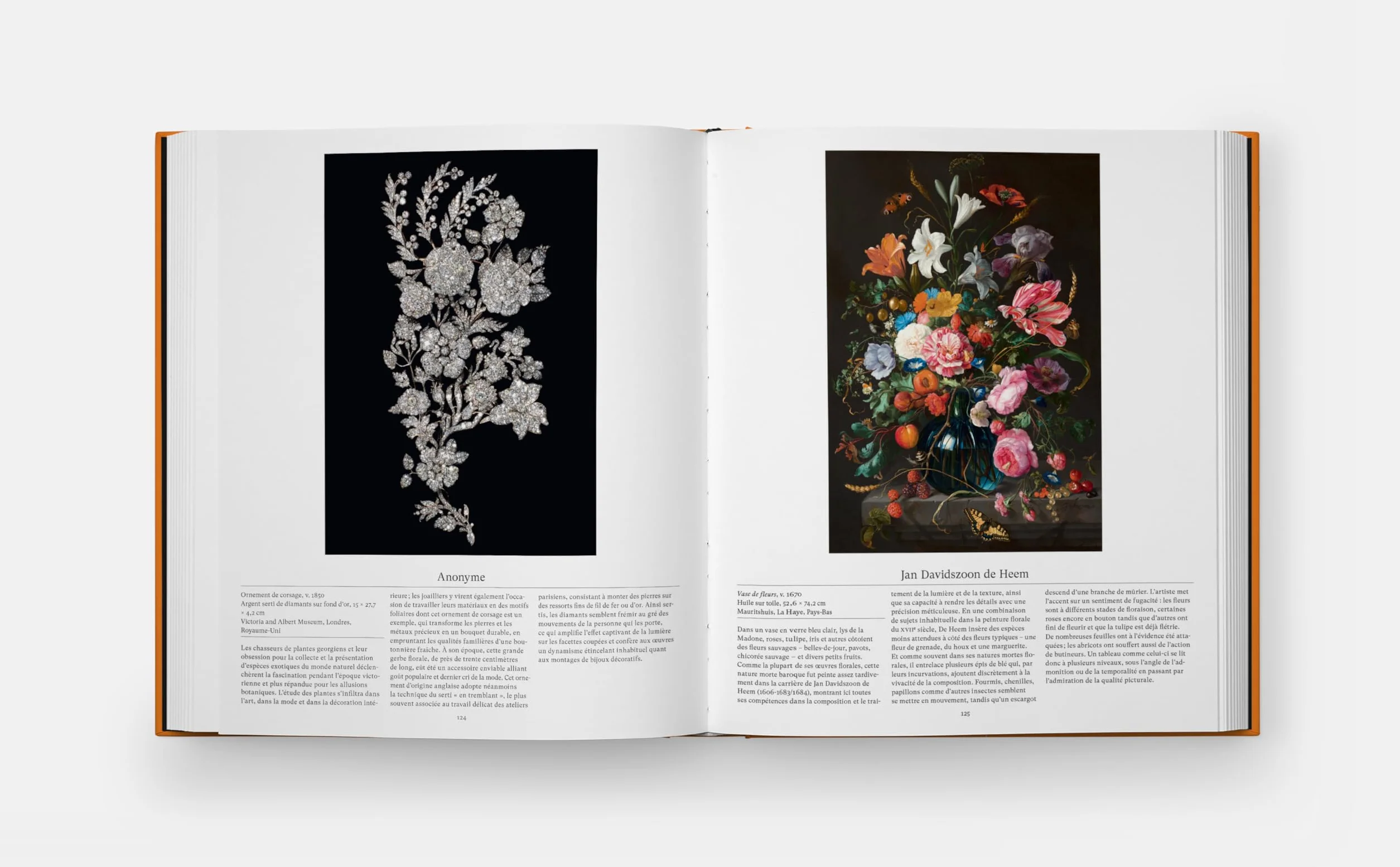 Explorer le monde floral