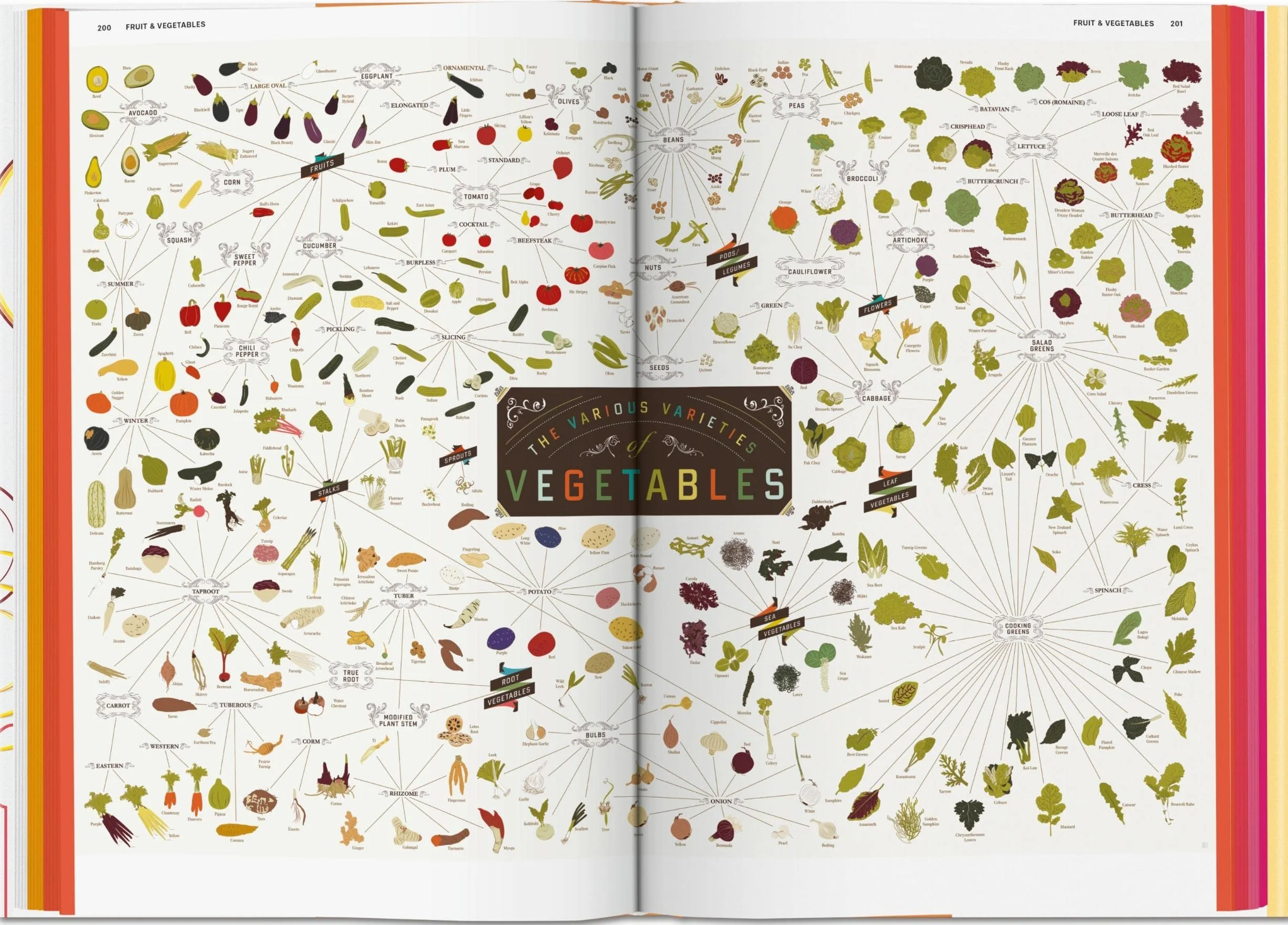 Food & Drink Infographics: A Visual Guide to Culinary Pleasures