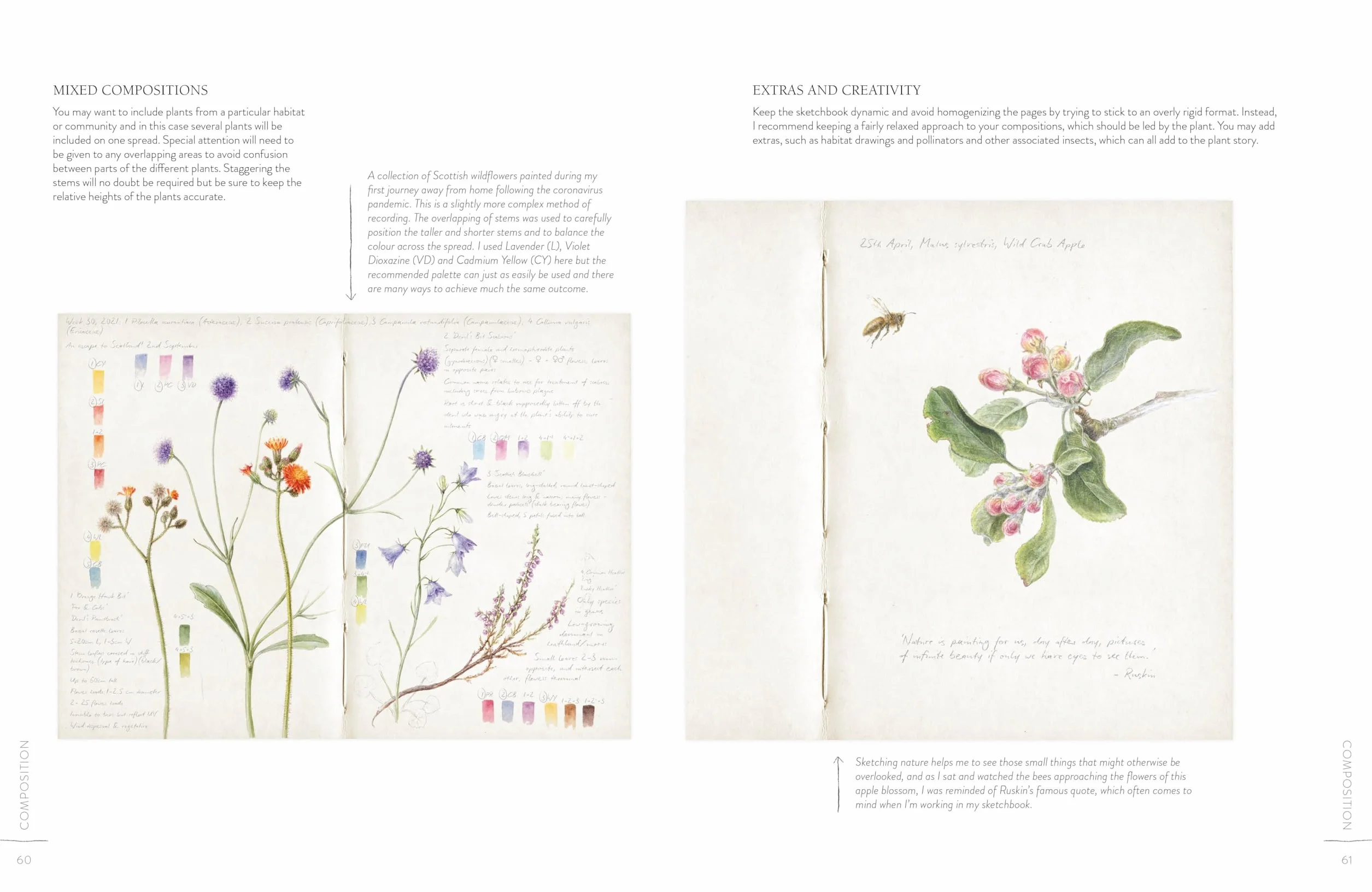 Sketching Nature: The Beginner's Guide to Keeping a Botanical Sketchbook