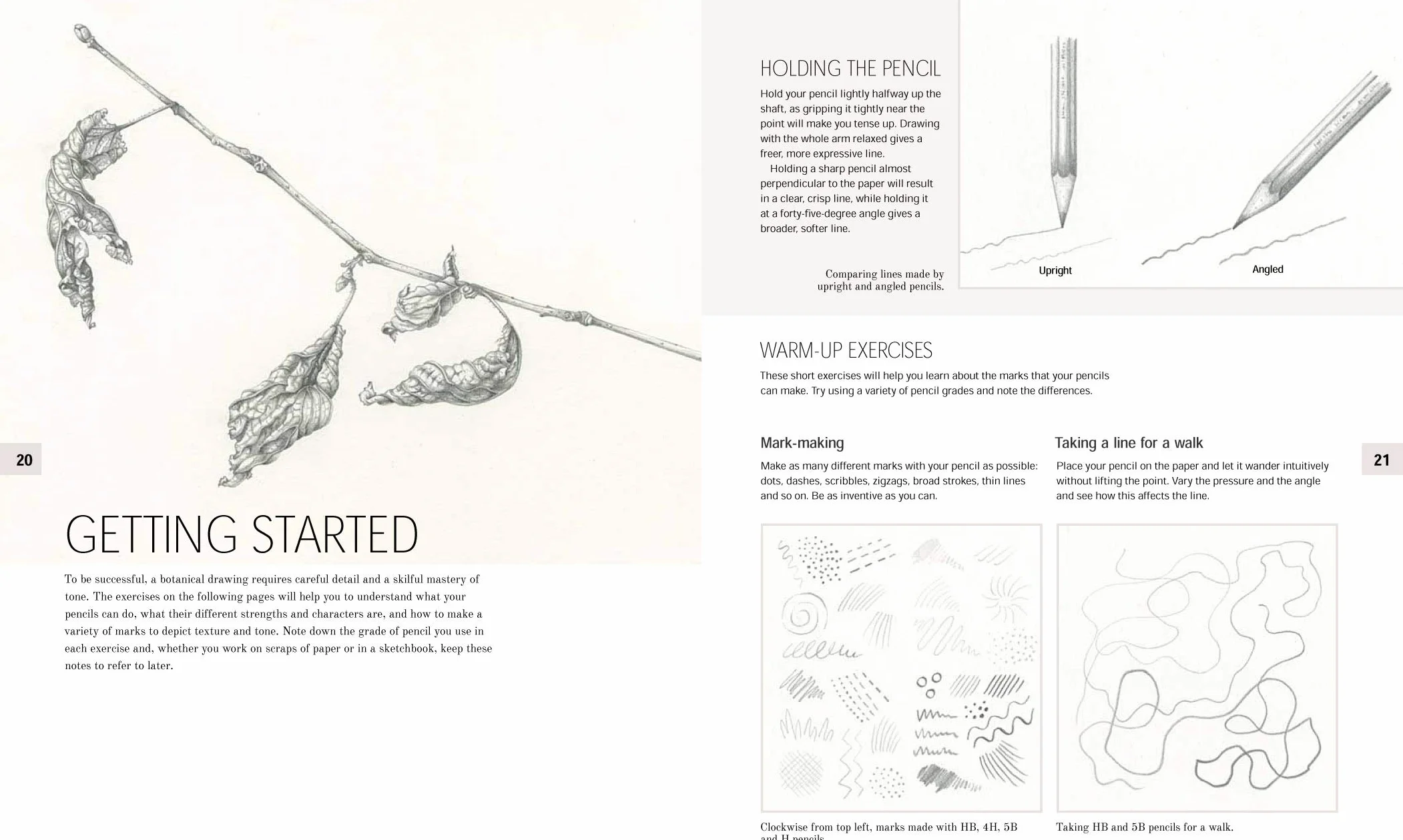 Botanical Drawing: A Step-By-Step Guide to Drawing Flowers, Vegetables, Fruit and Plant Life