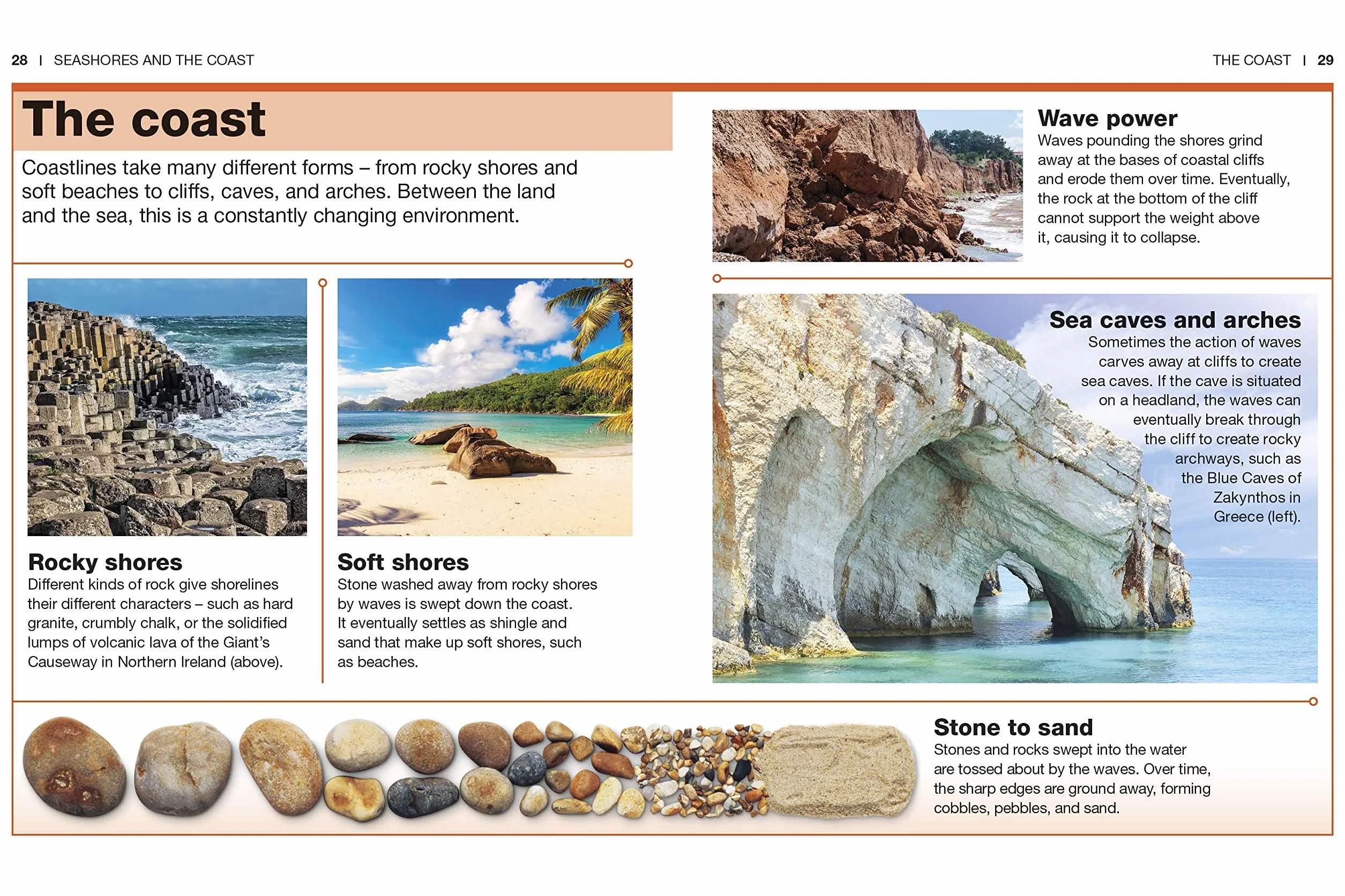 Ocean: Facts at Your Fingertips (Pocket Eyewitness)