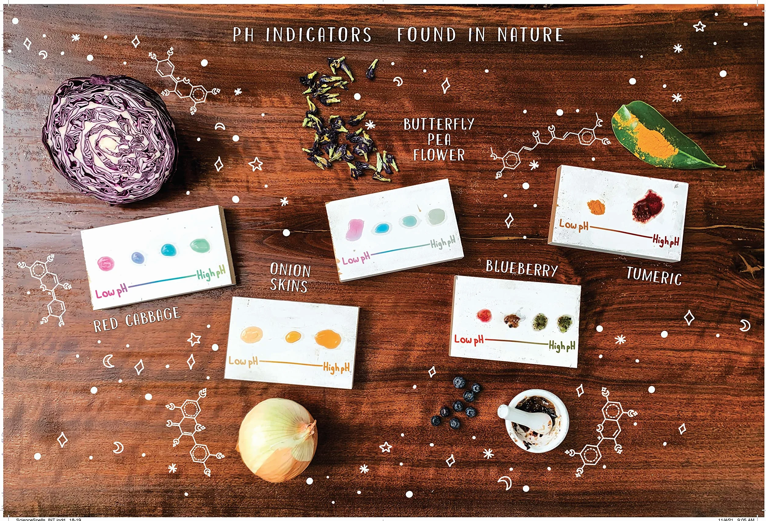 The Science Spell Book: Magical Experiments for Kids