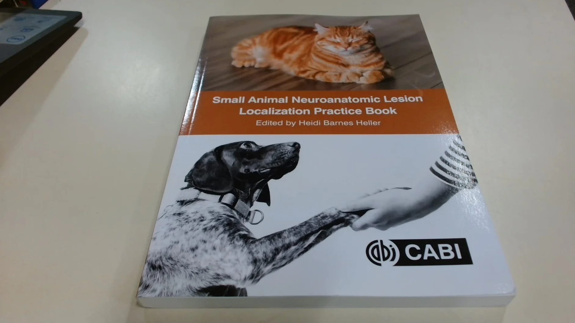 Small Animal Neuroanatomic Lesion Localization Practice Book