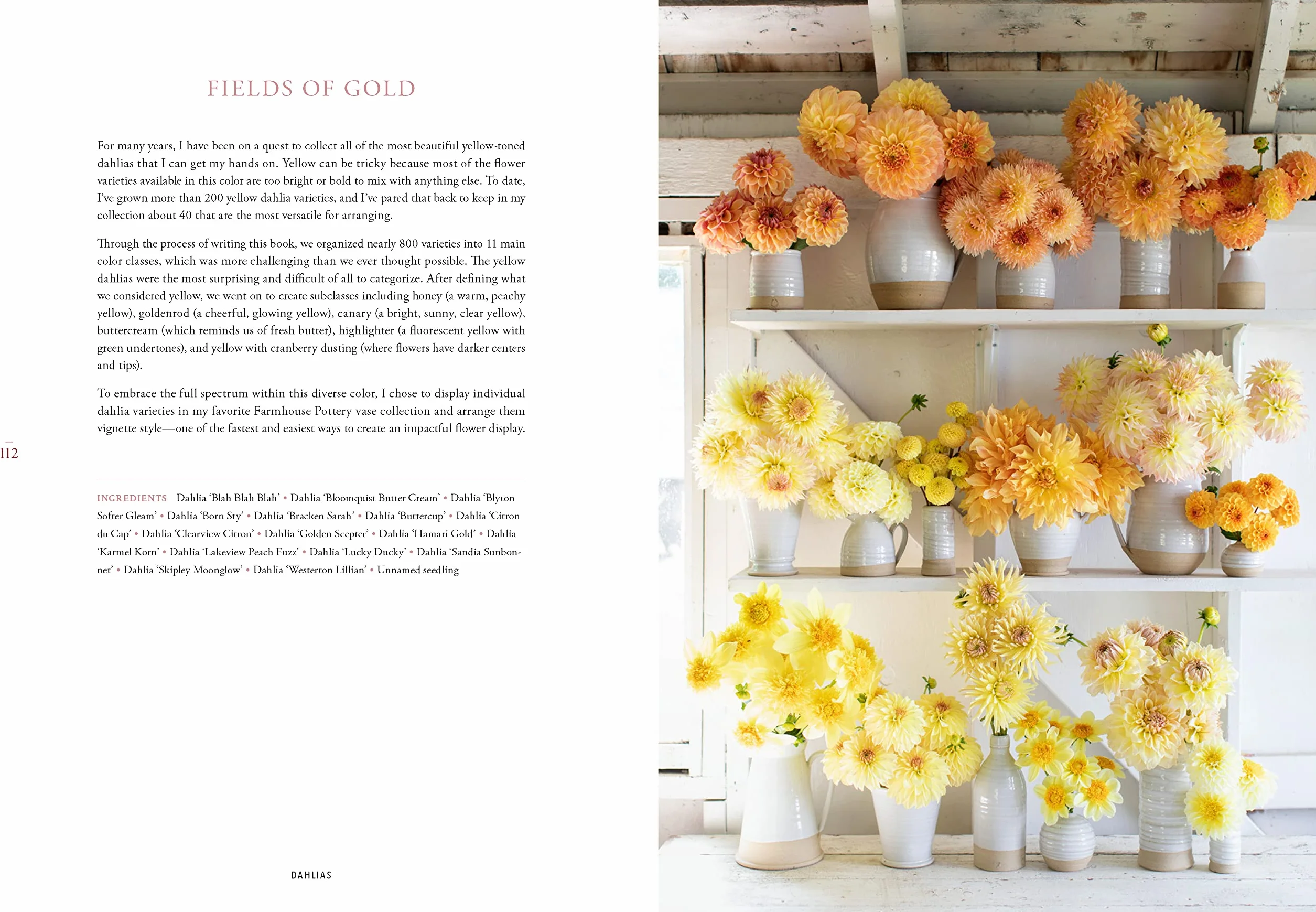 Floret Farm's Discovering Dahlias: A Guide to Growing and Arranging Magnificent Blooms