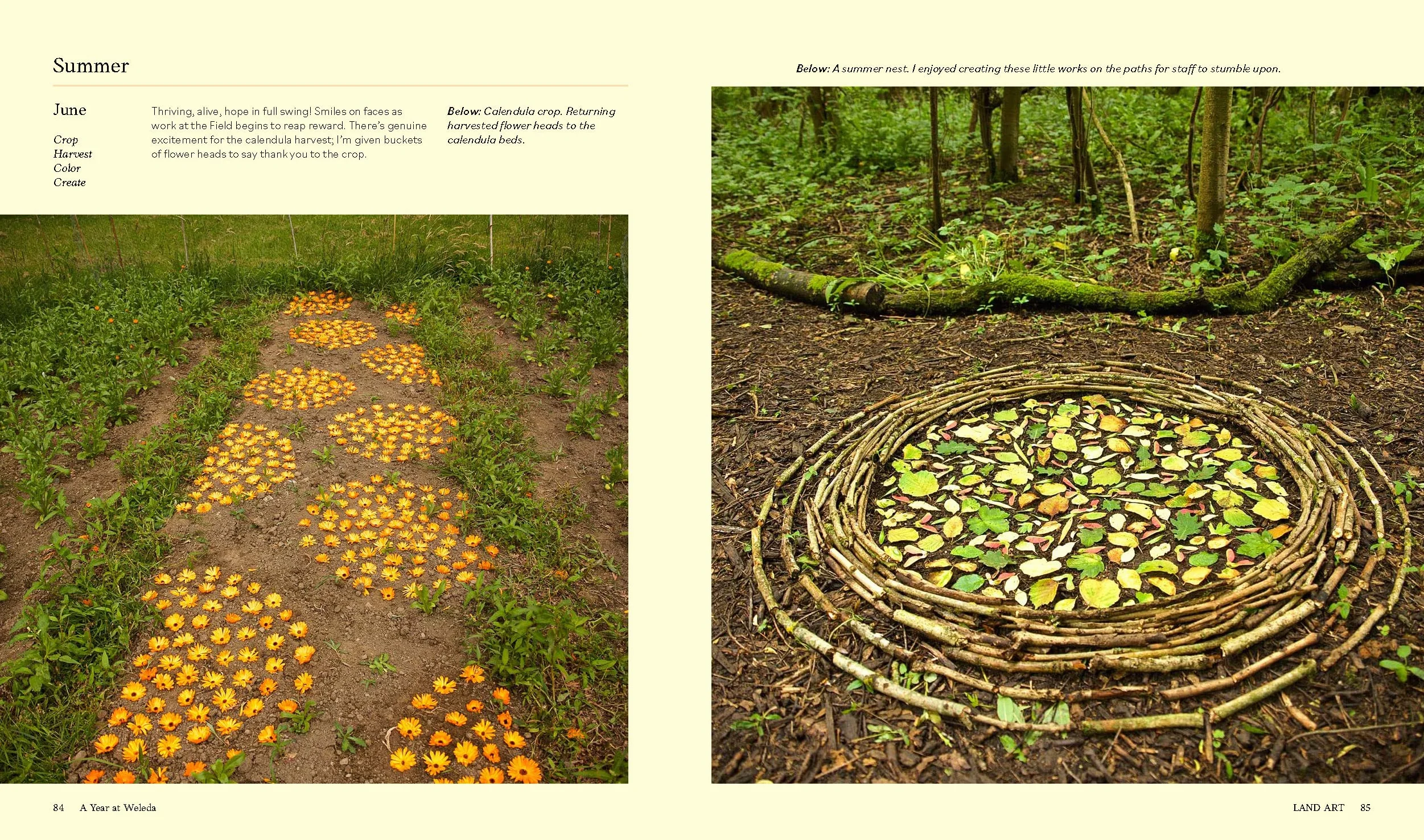 Land Art: Creating Artworks in and with the Landscape