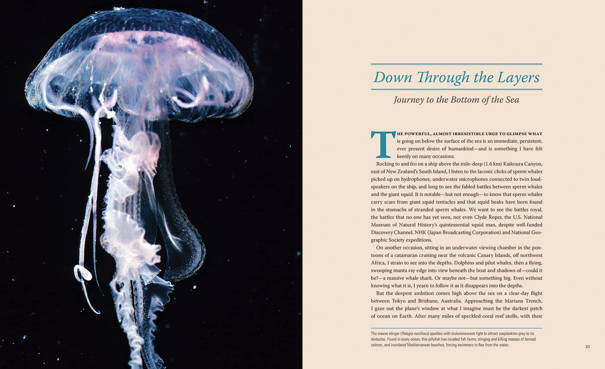 Creatures of the Deep: In Search of the Sea's Monsters