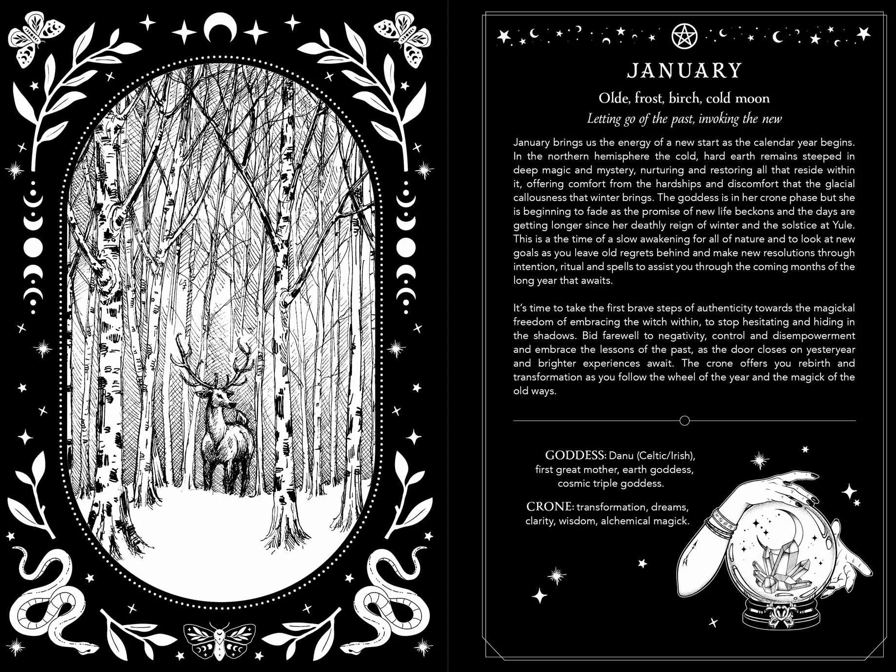 Witch's Diary 2026: Northern Hemisphere - Reclaiming the Magick of the Old Ways