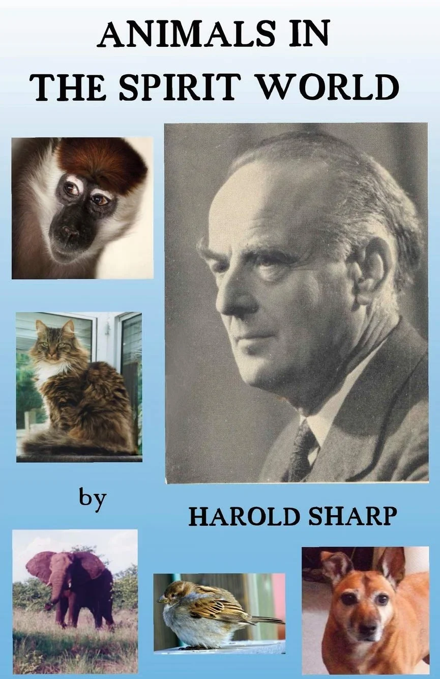 Animals in the Spirit World