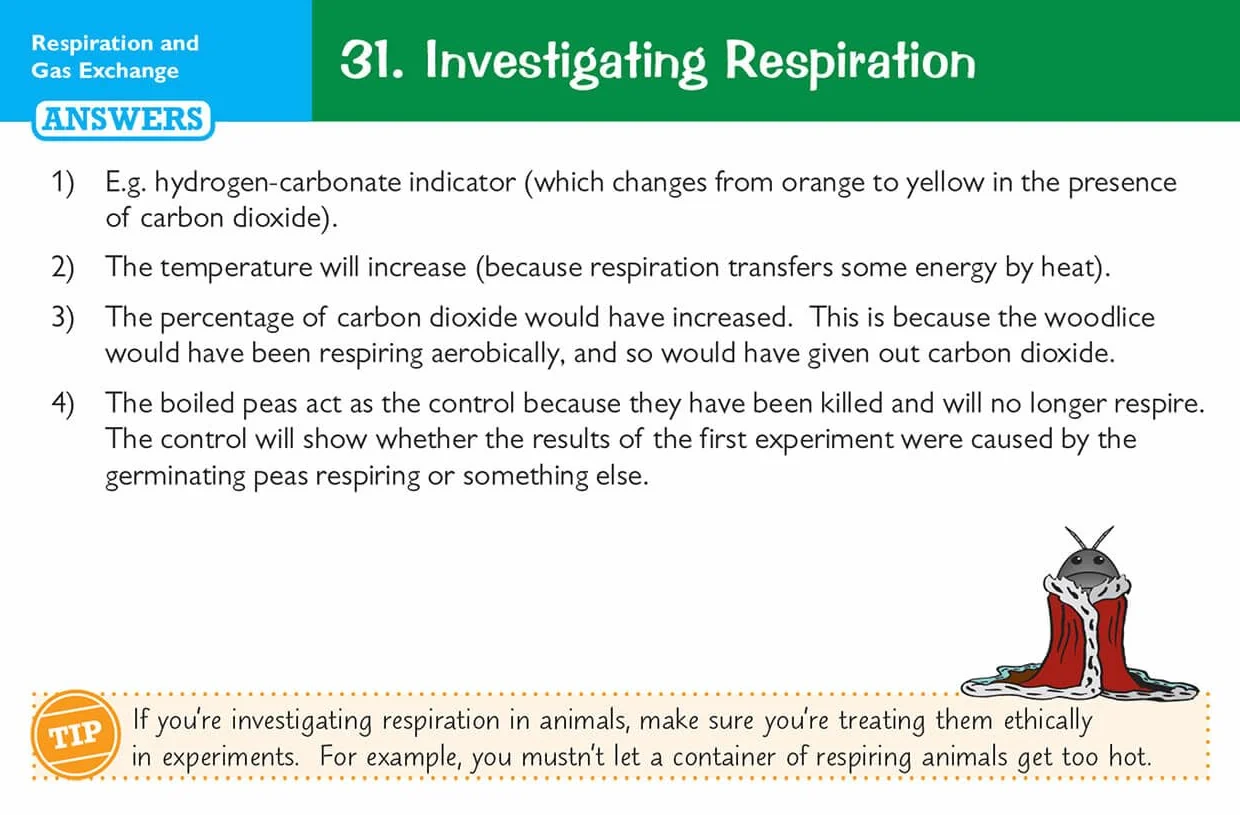 Edexcel International GCSE Biology Revision Question Cards