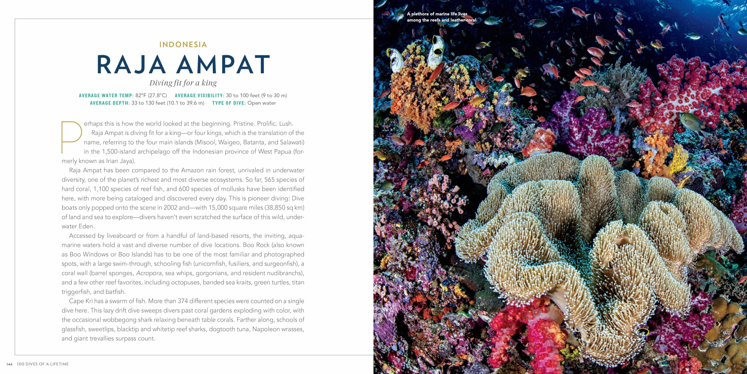 100 Dives of a Lifetime: The World's Ultimate Underwater Destinations