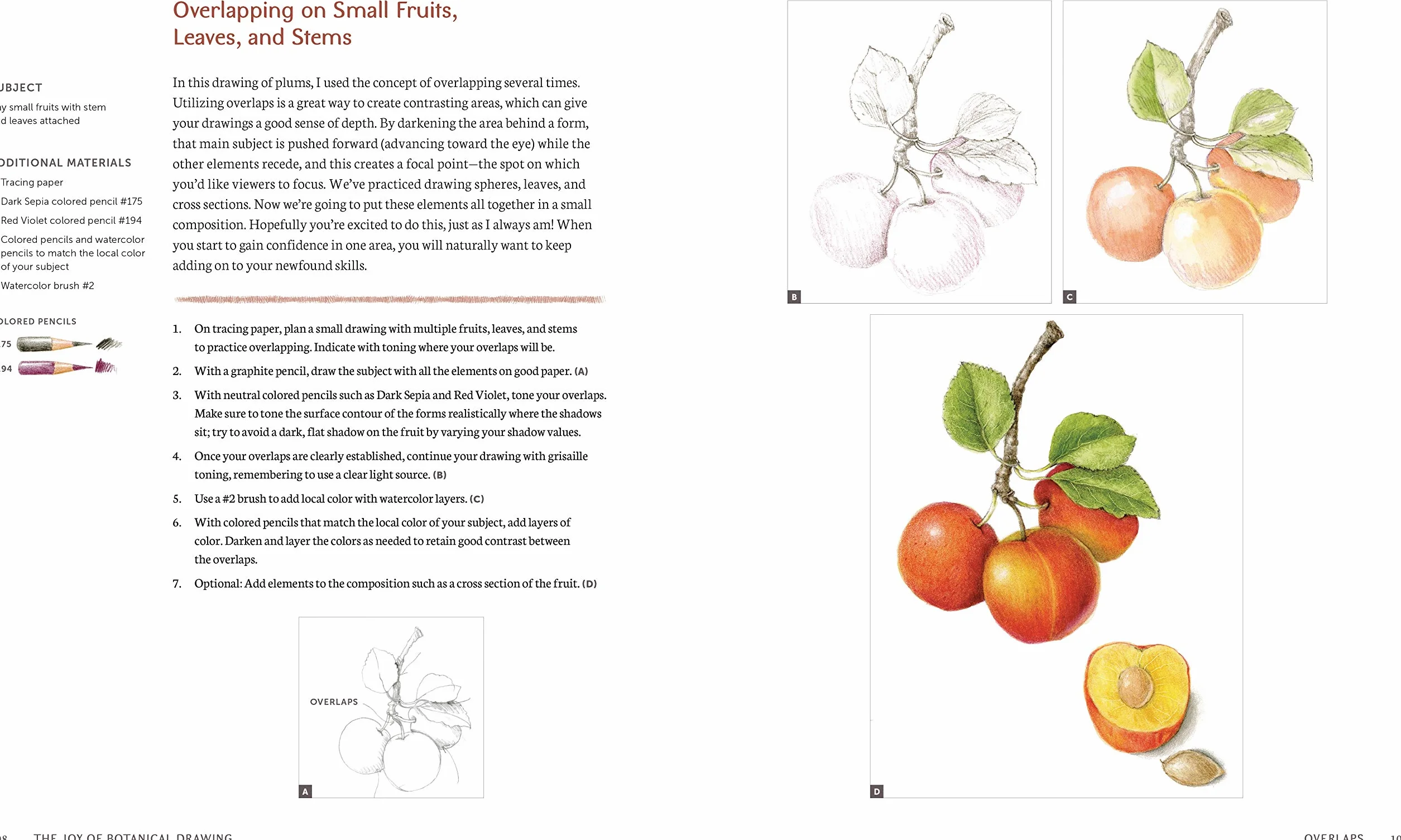 The Joy of Botanical Drawing: A Step-by-Step Guide to Drawing and Painting Flowers, Leaves, Fruit