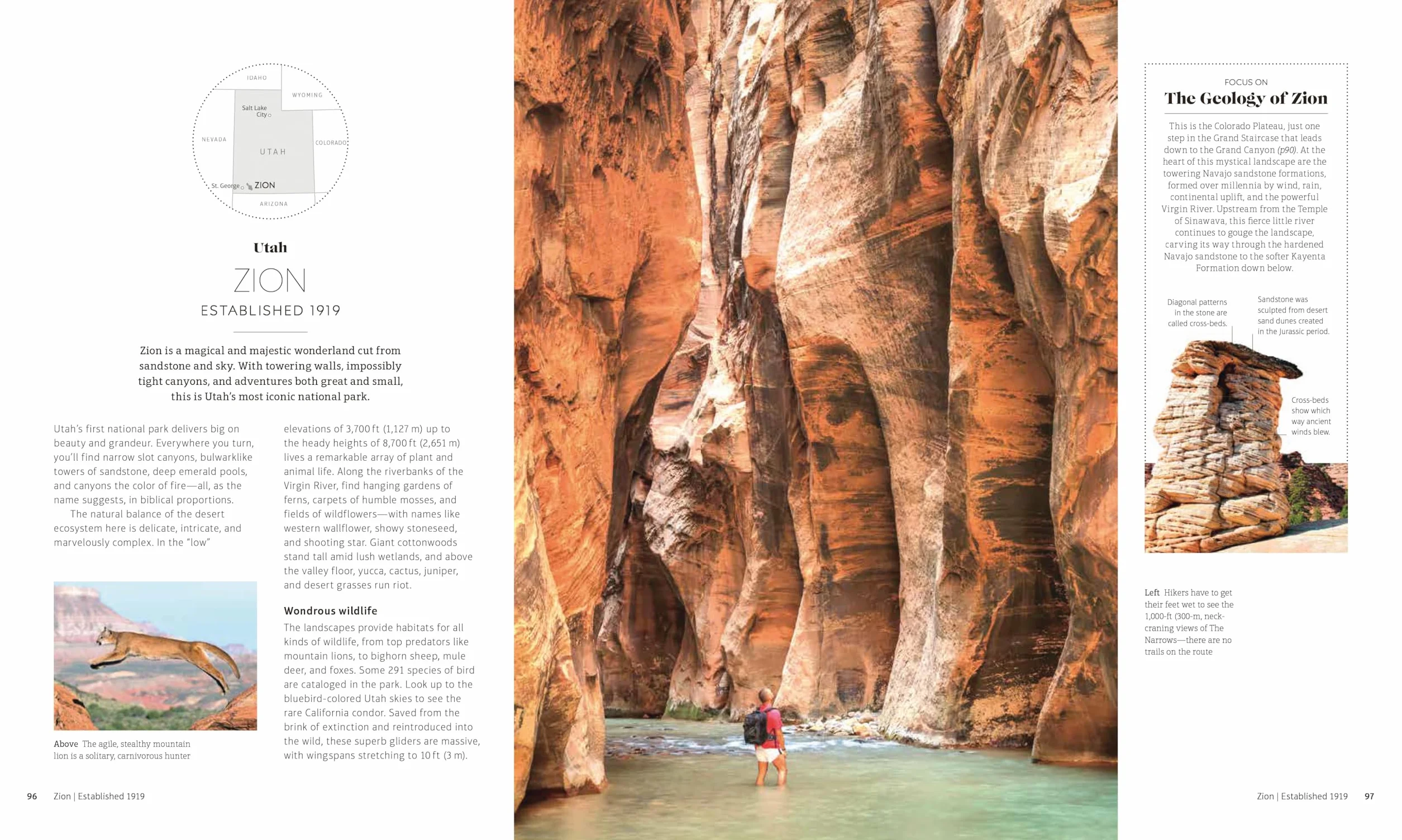 USA National Parks: Lands of Wonder