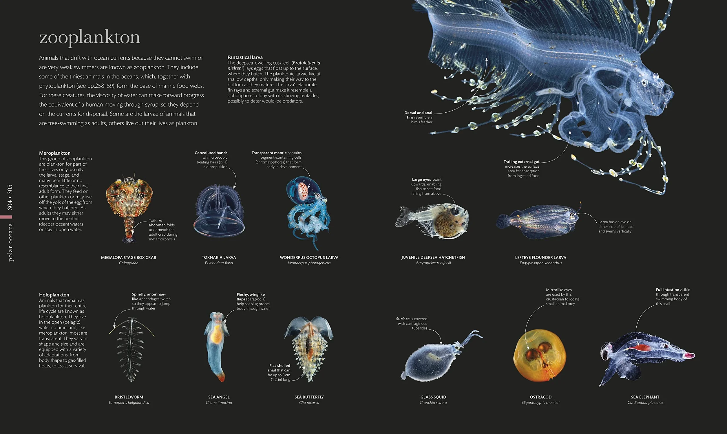The Science of the Ocean: Secrets of the Seas