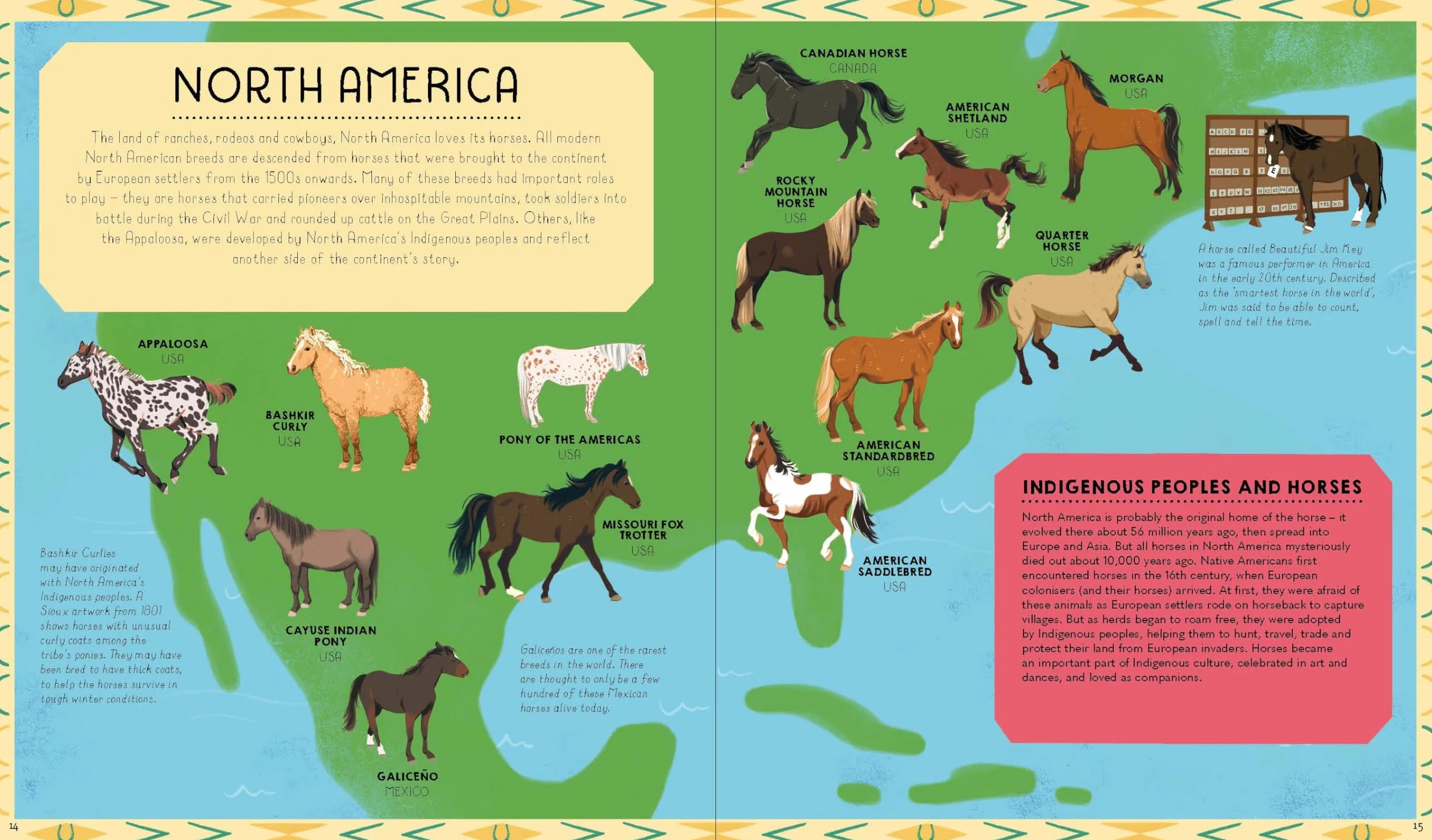 Atlas of Horses and Ponies: 100 Amazing Breeds From Around the World Fun Features Illustrations Learn About Super Senses Fascinating Facts
