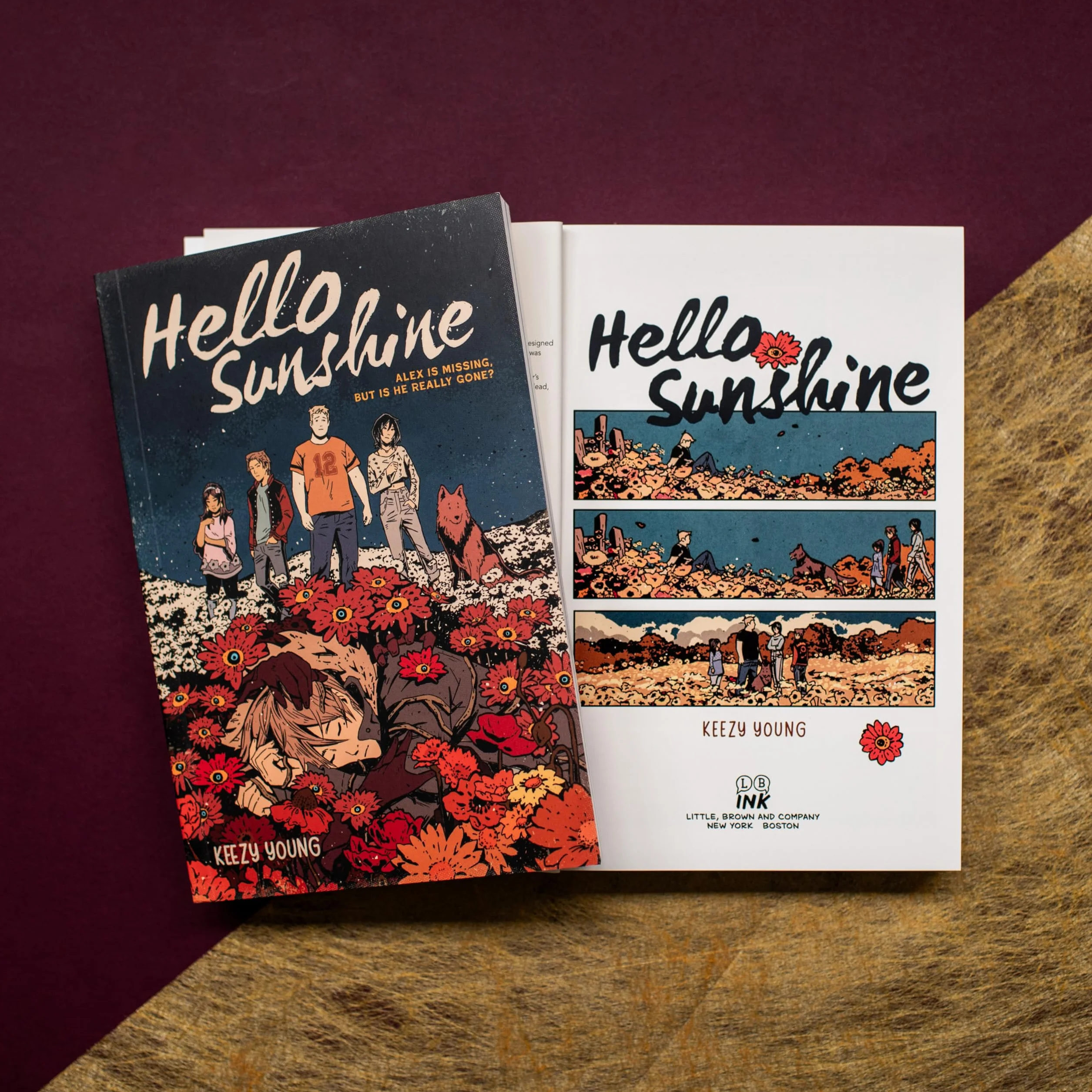 Hello Sunshine (Graphic Novel)