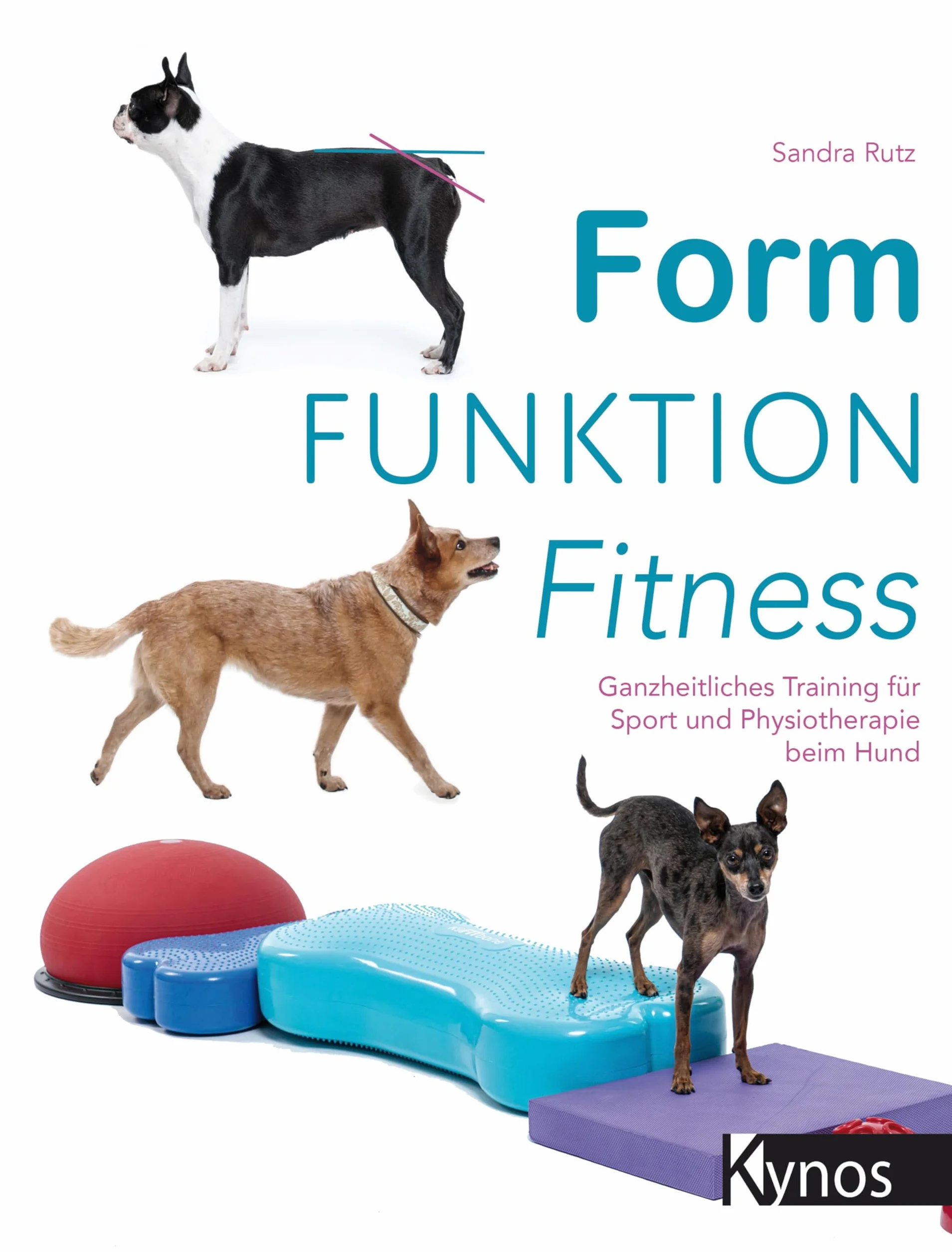 Form Funktion Fitness: Ganzheitliches Training für Hundesport und Physiotherapie