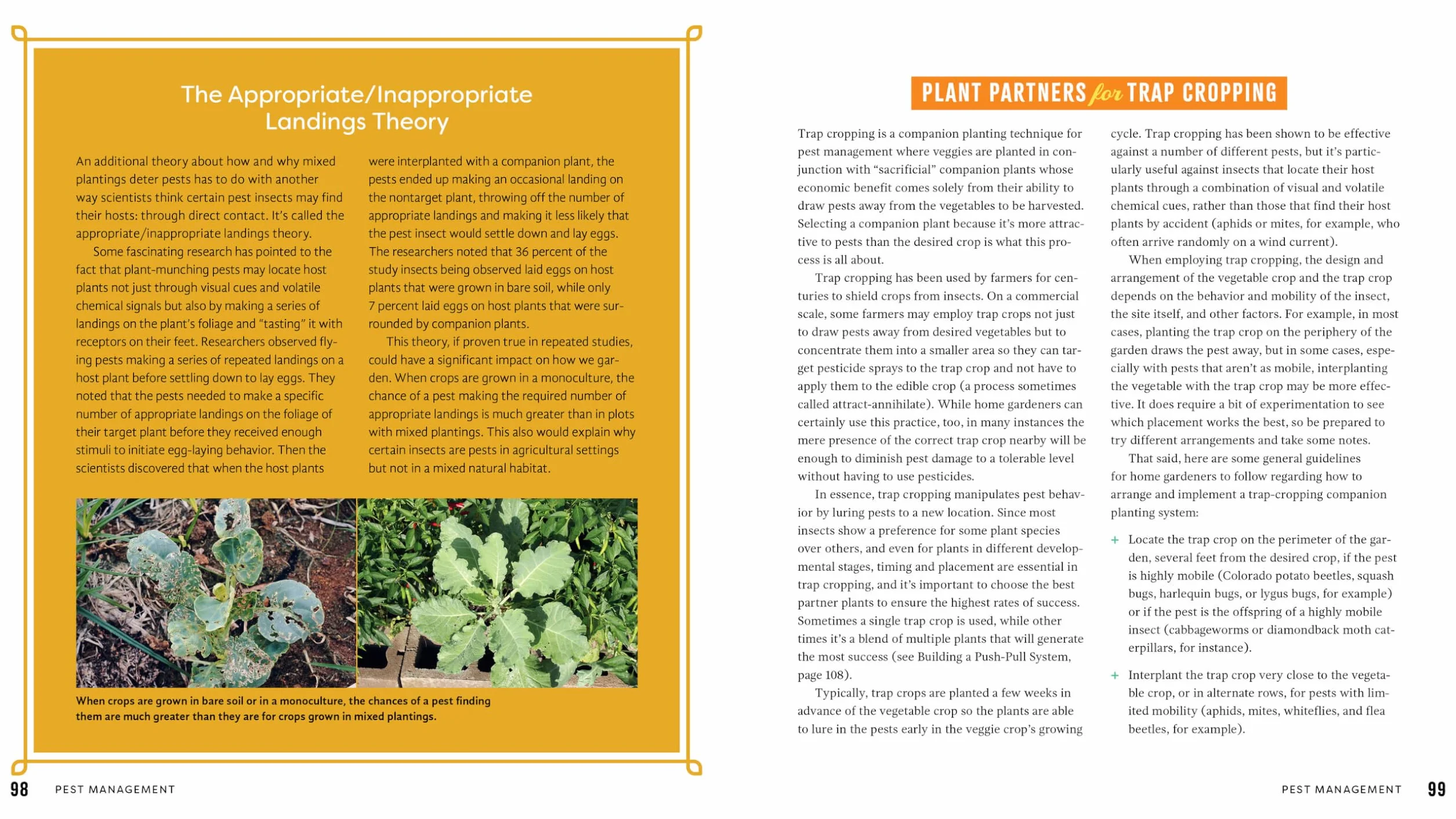 Plant Partners: Science-Based Companion Planting Strategies for the Vegetable Garden